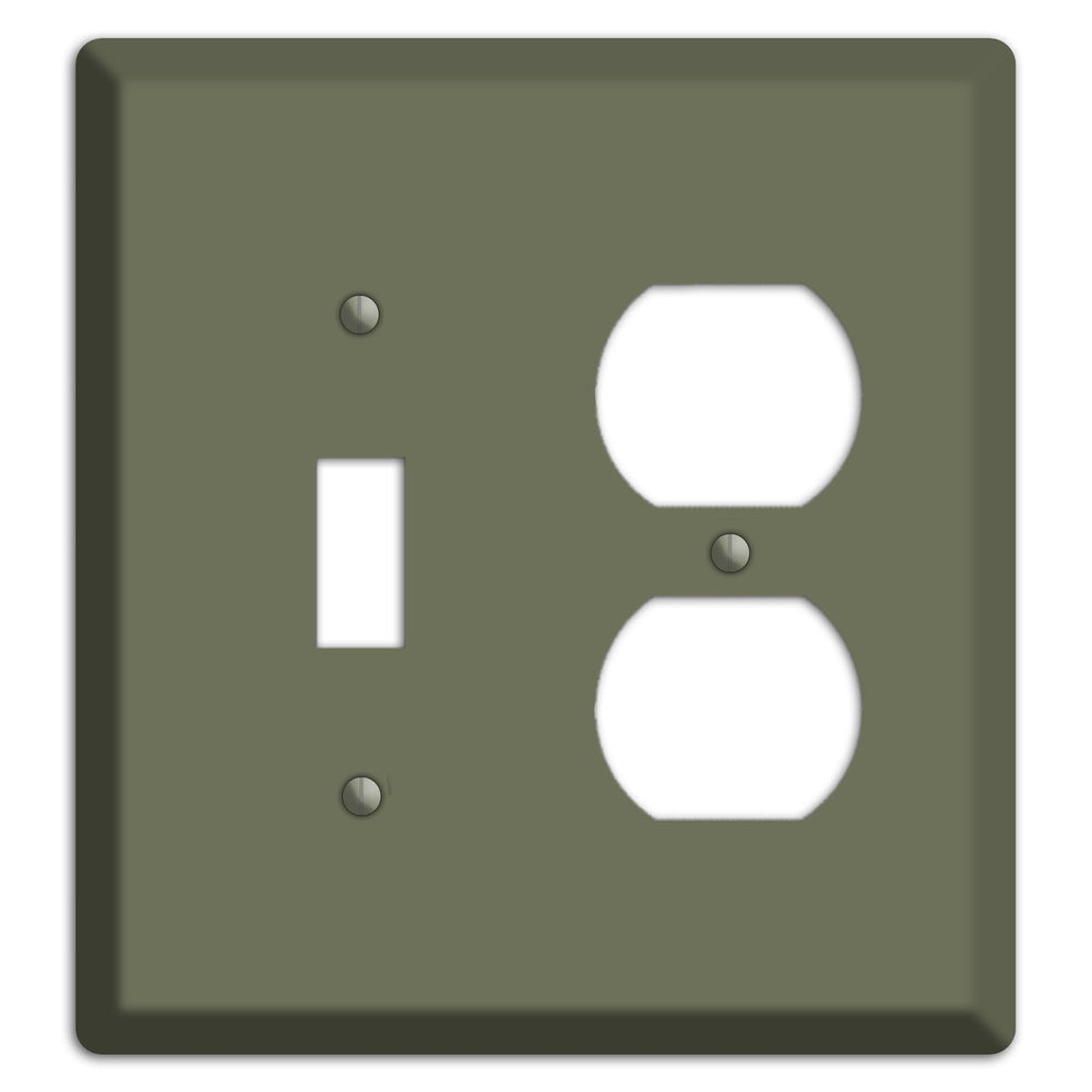 Baxter Eucalyptus Toggle / Duplex Wallplate