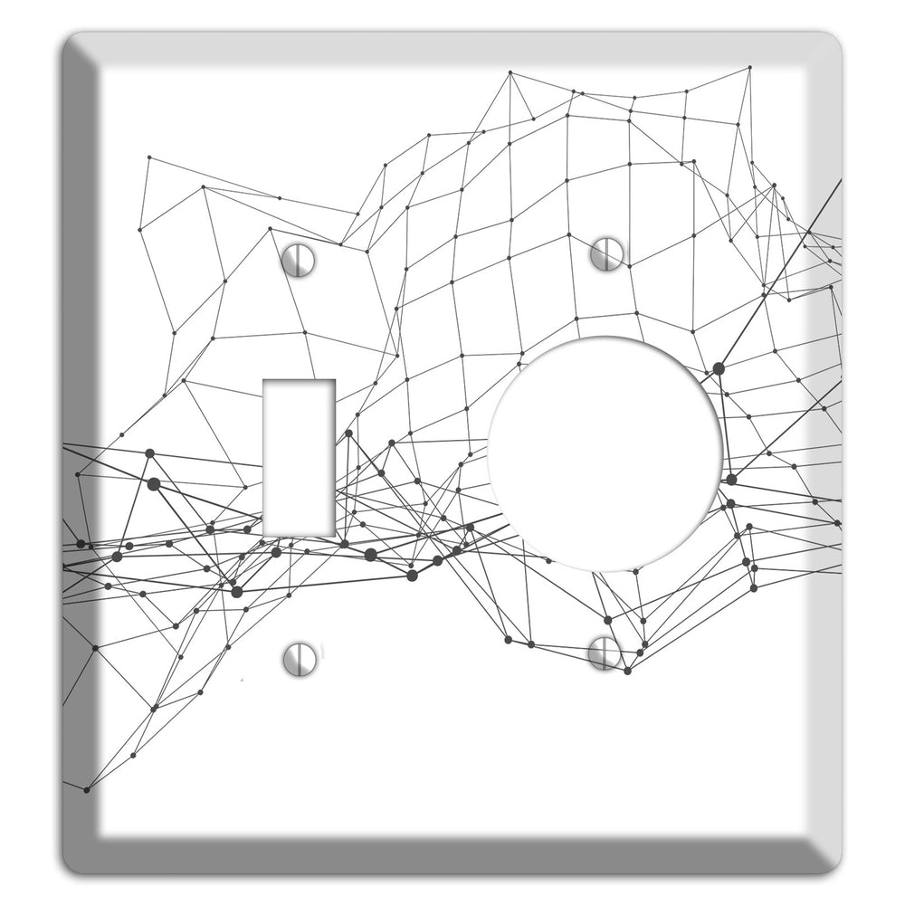 Phantom Mesh Drift Toggle / Receptacle Wallplate