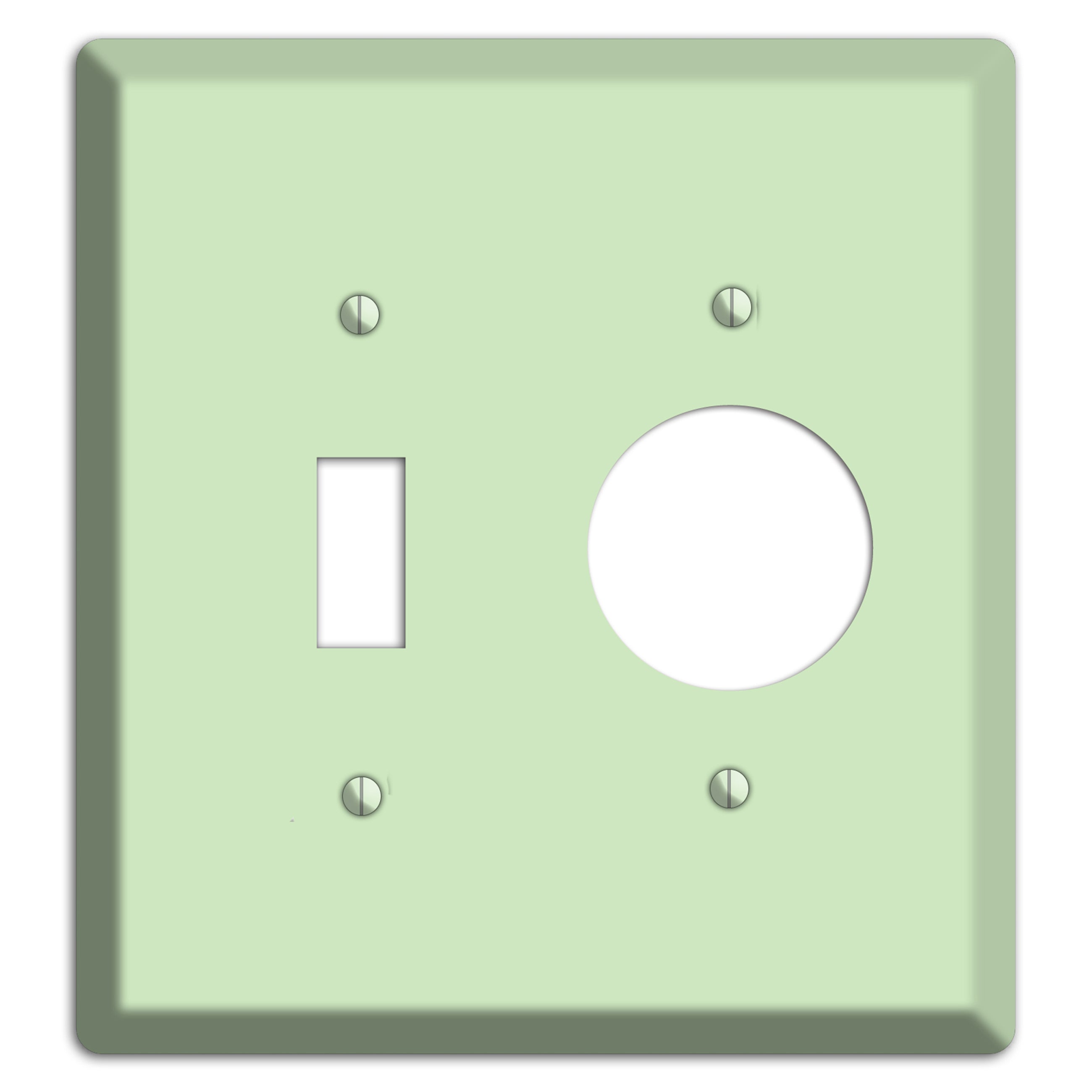 Baxter Mint Toggle / Receptacle Wallplate