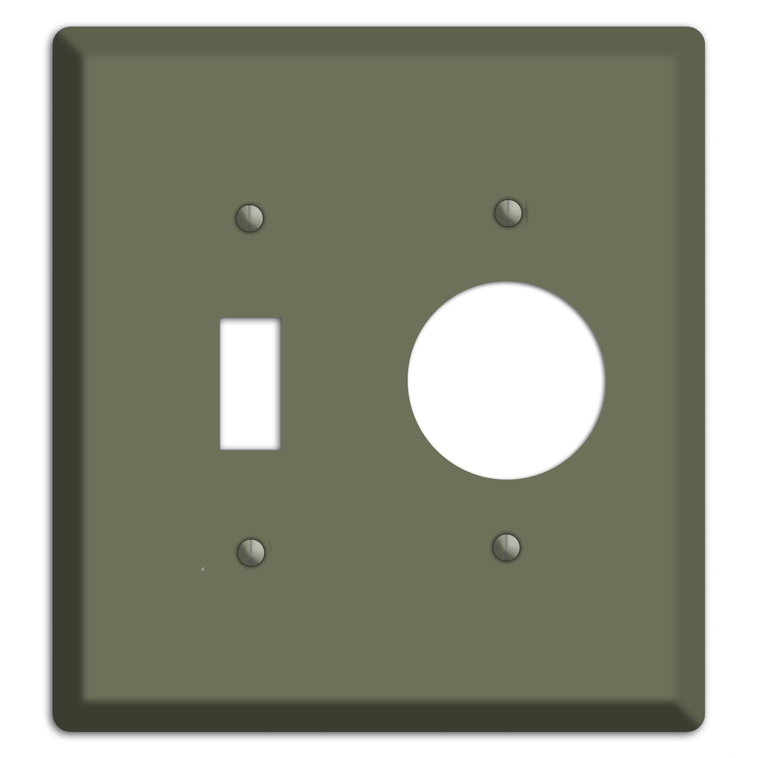 Baxter Eucalyptus Toggle / Receptacle Wallplate