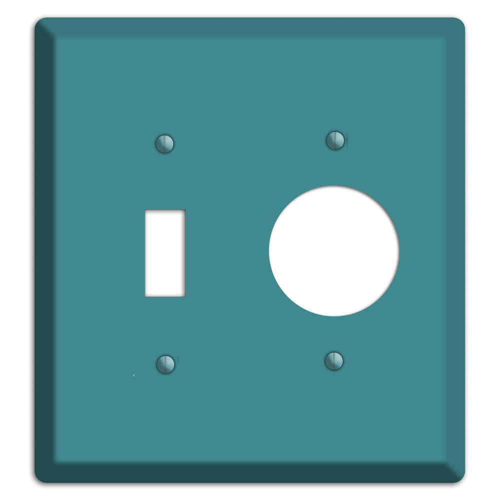 Baxter Turqouise Toggle / Receptacle Wallplate