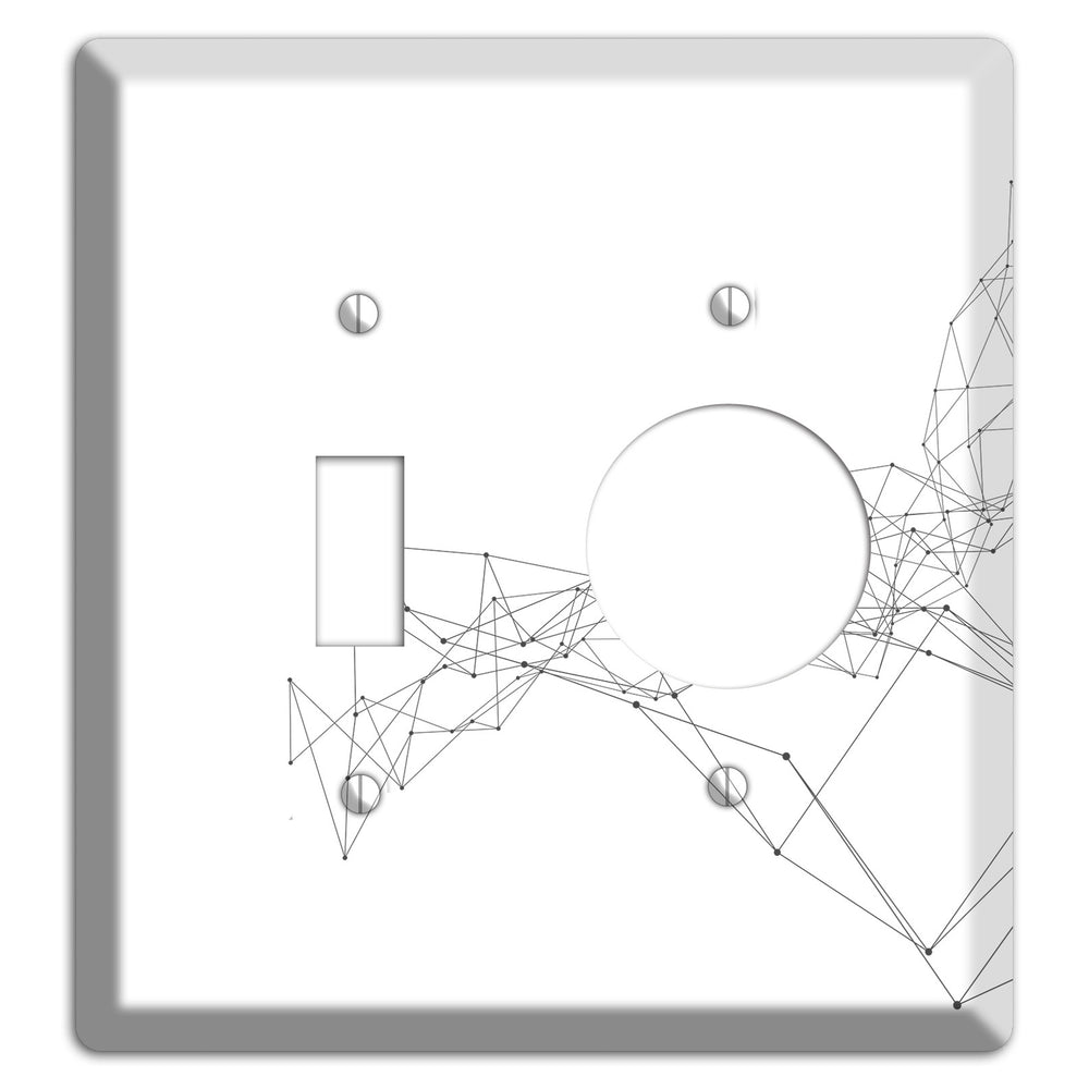 Emergent Mesh Theory Toggle / Receptacle Wallplate
