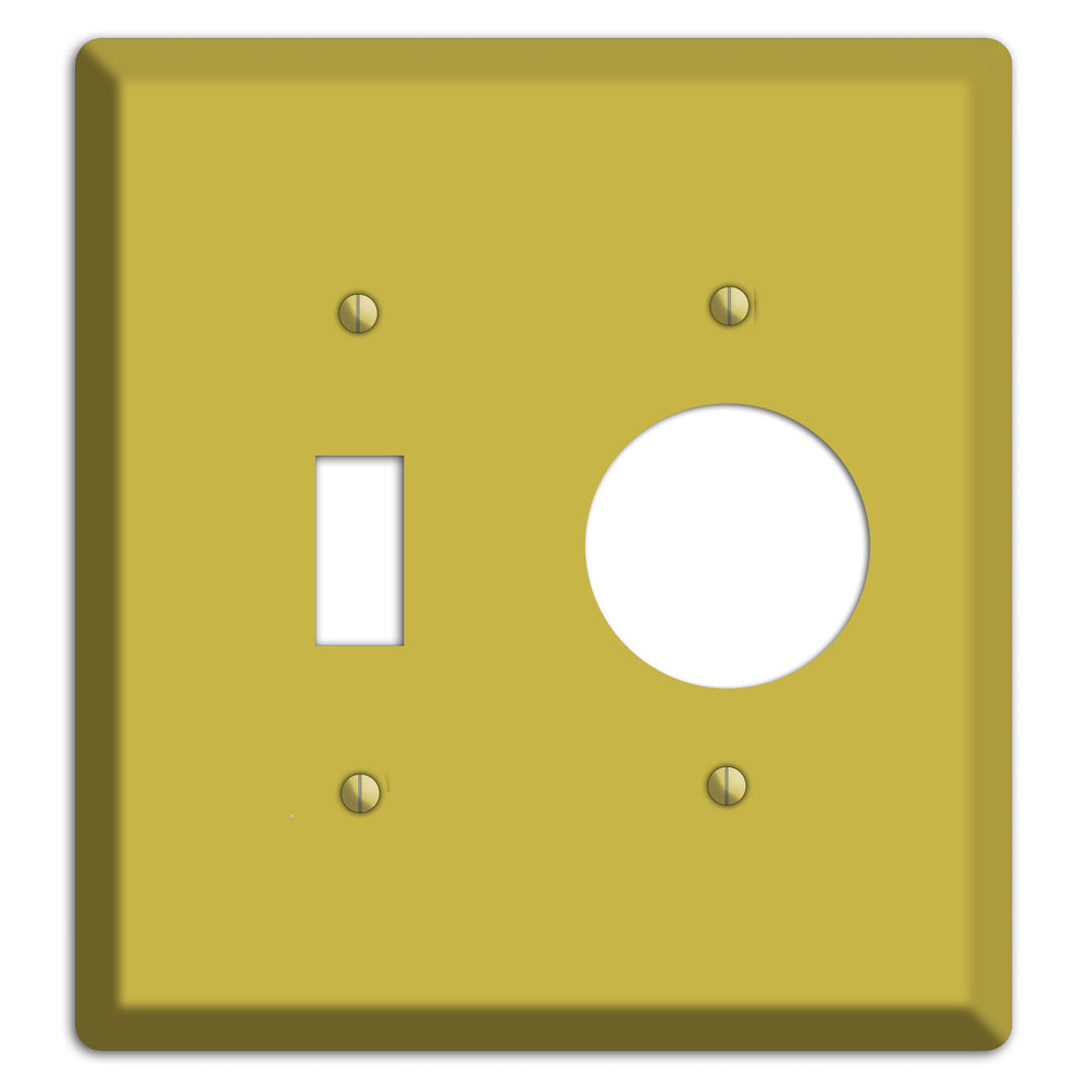 Baxter Sunflower Toggle / Receptacle Wallplate