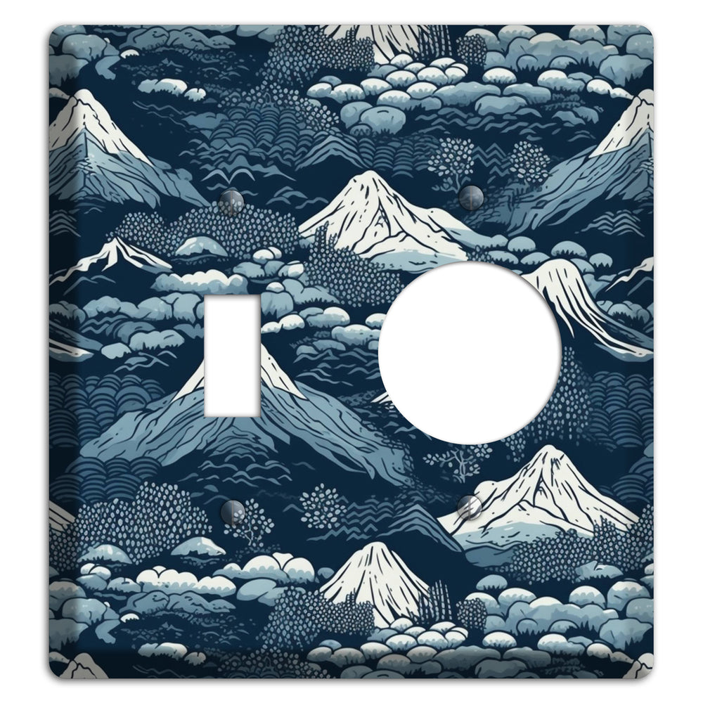 Summit & Fog Toggle / Receptacle Wallplate