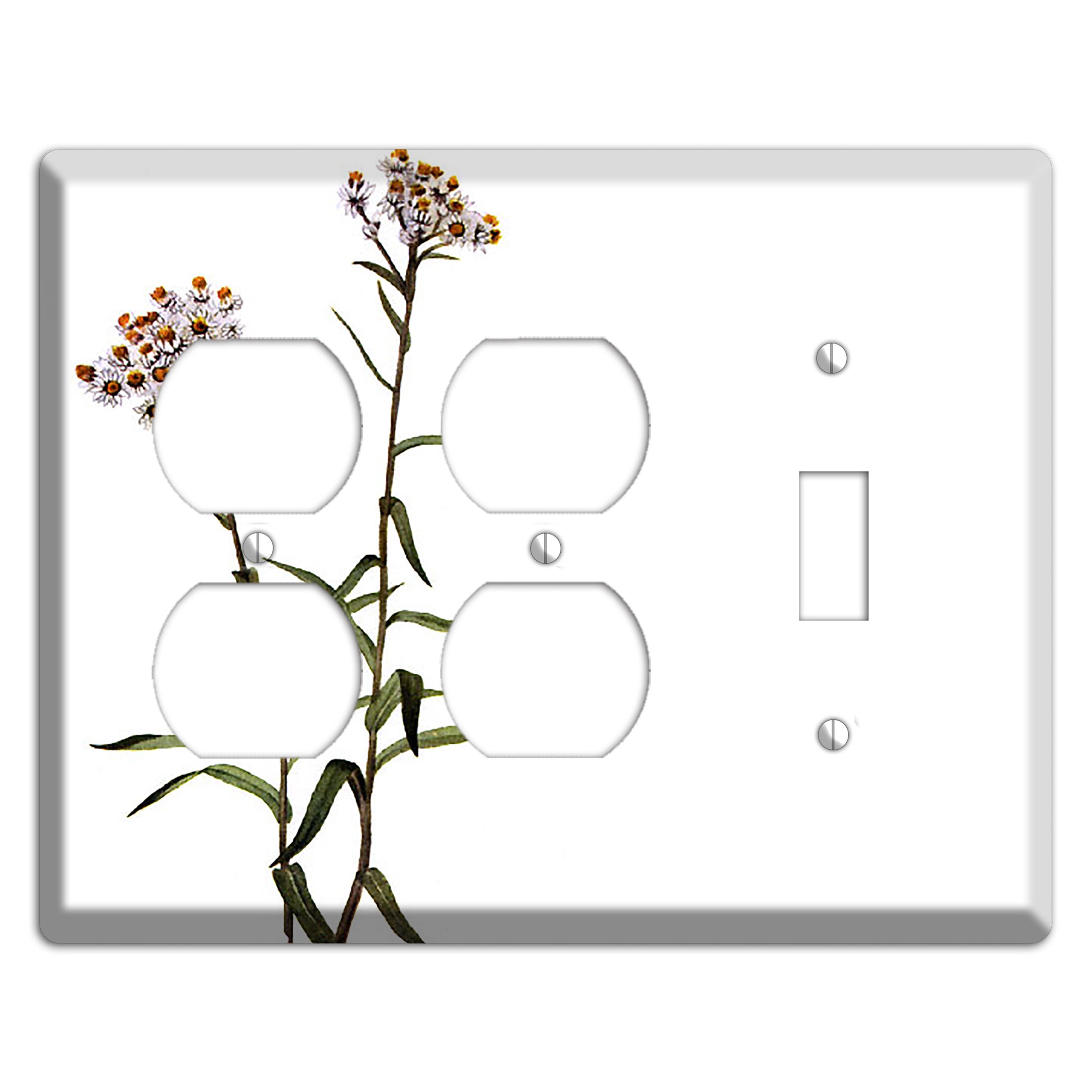Anaphalis Margoritacea 2 Duplex / Toggle Wallplate