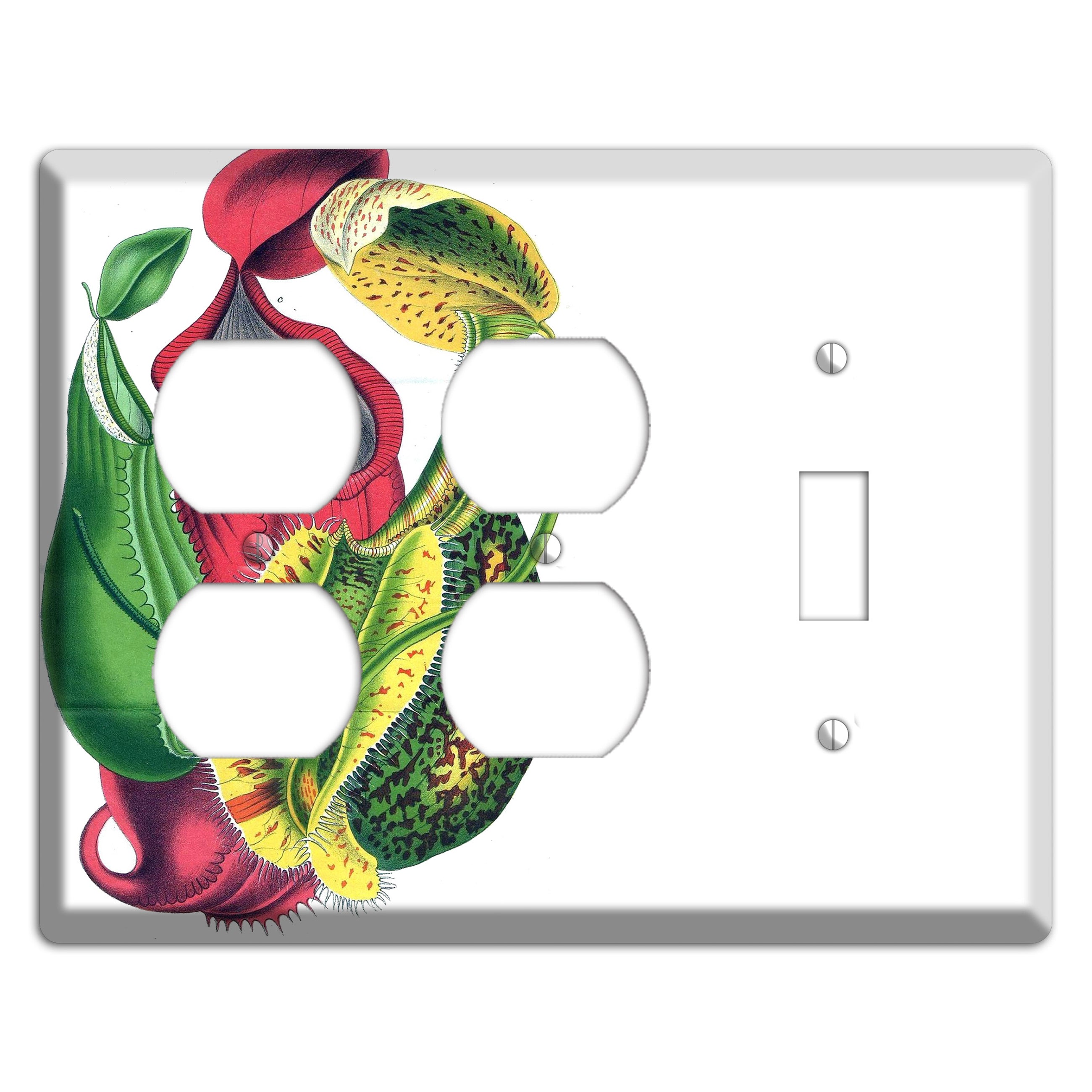 Nepethes 2 Duplex / Toggle Wallplate