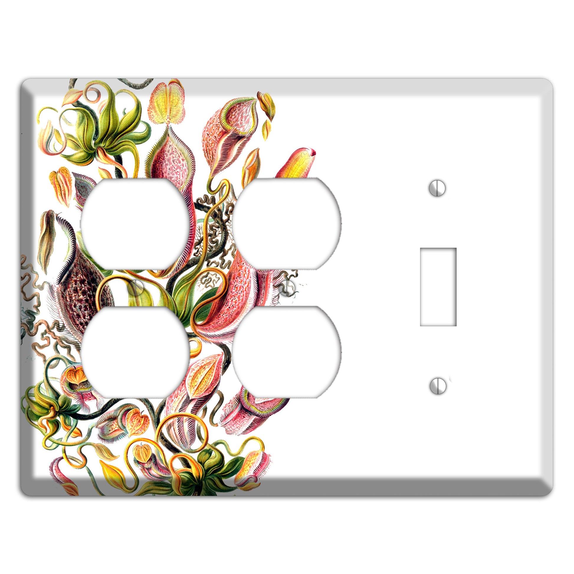 Haechel 2 Duplex / Toggle Wallplate