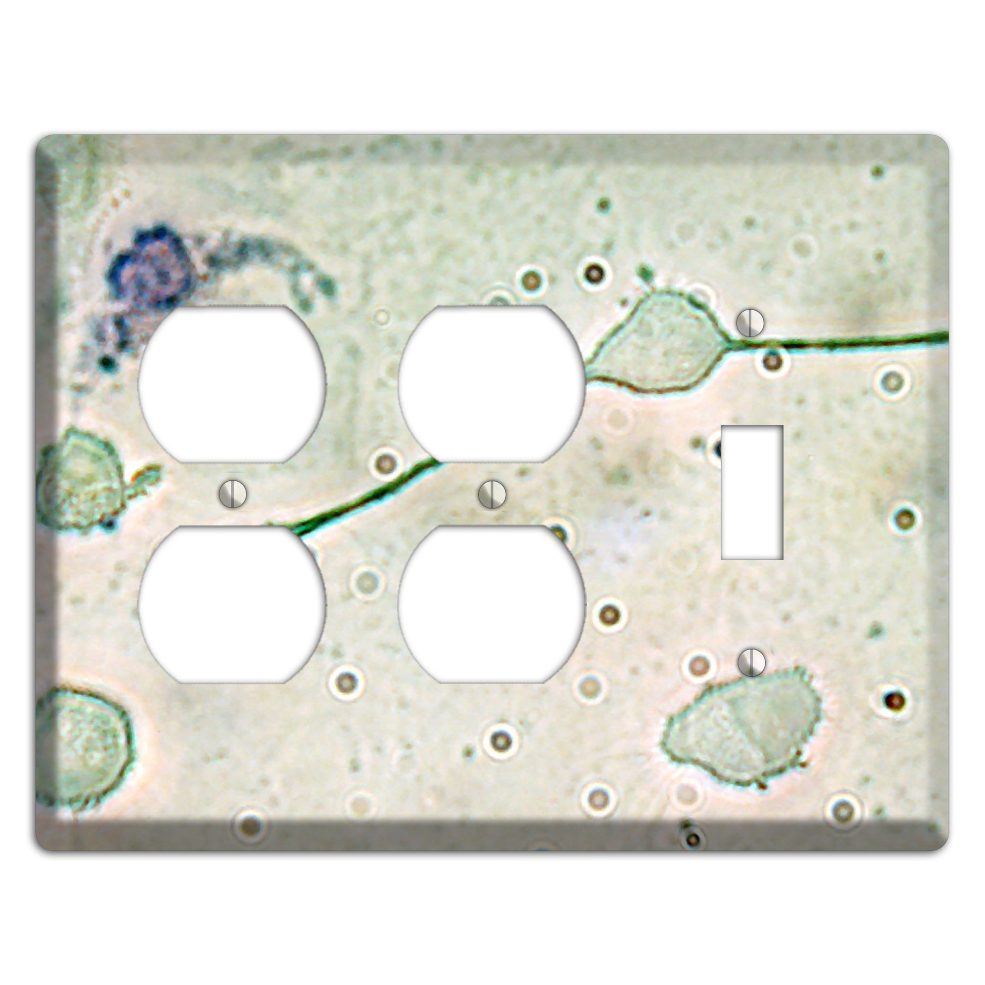Macrophage 2 Duplex / Toggle Wallplate