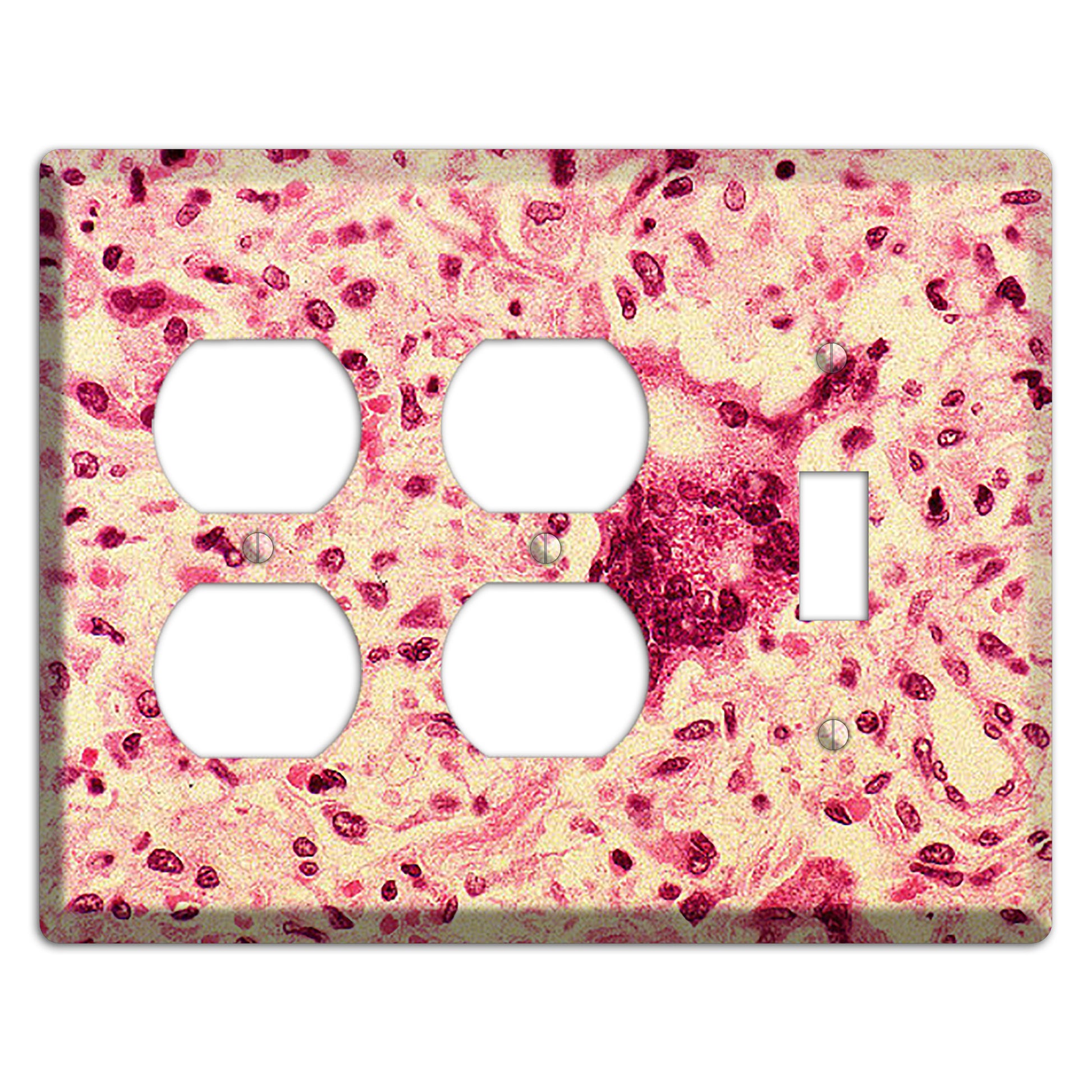 Morbillo 2 Duplex / Toggle Wallplate