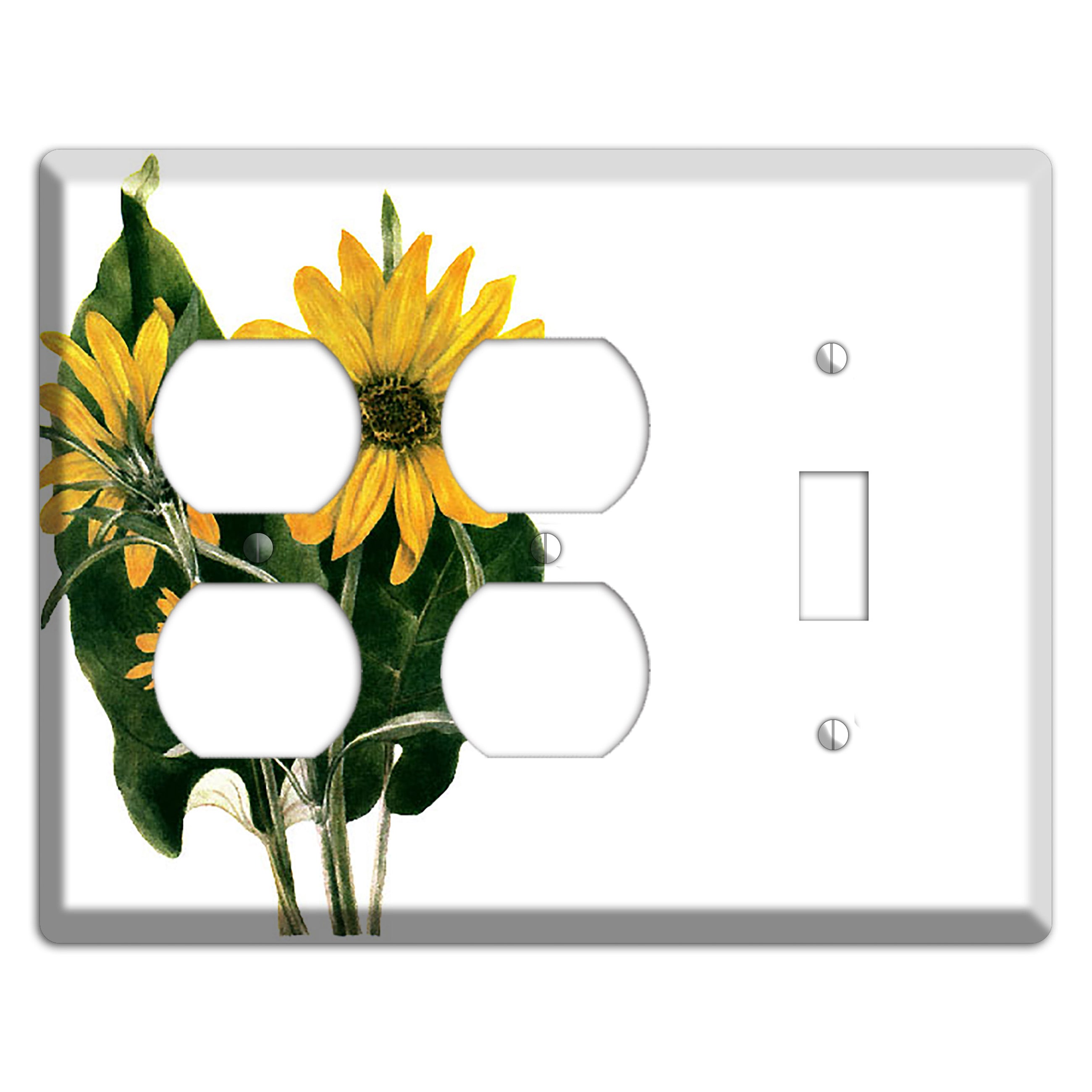 Balsamorhiza Sagittata 2 Duplex / Toggle Wallplate