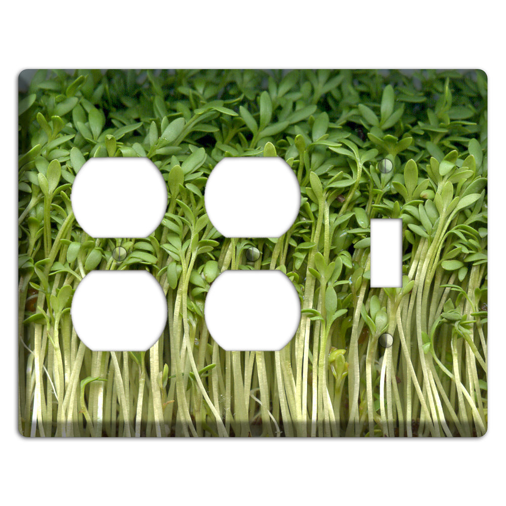 Sprouts 2 Duplex / Toggle Wallplate