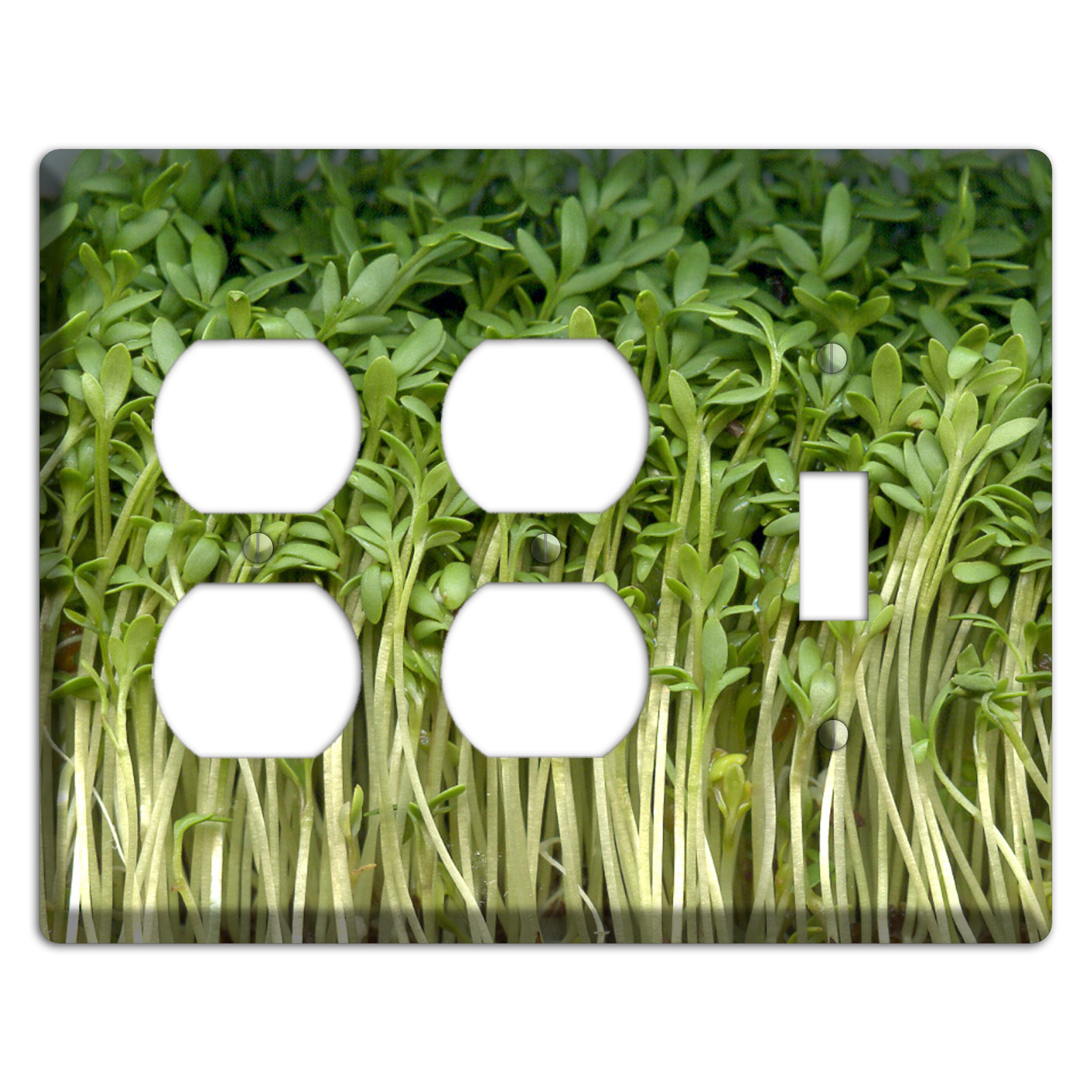 Sprouts 2 Duplex / Toggle Wallplate
