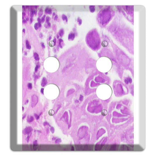 Esophagus Herpes 2 Pushbutton Wallplate