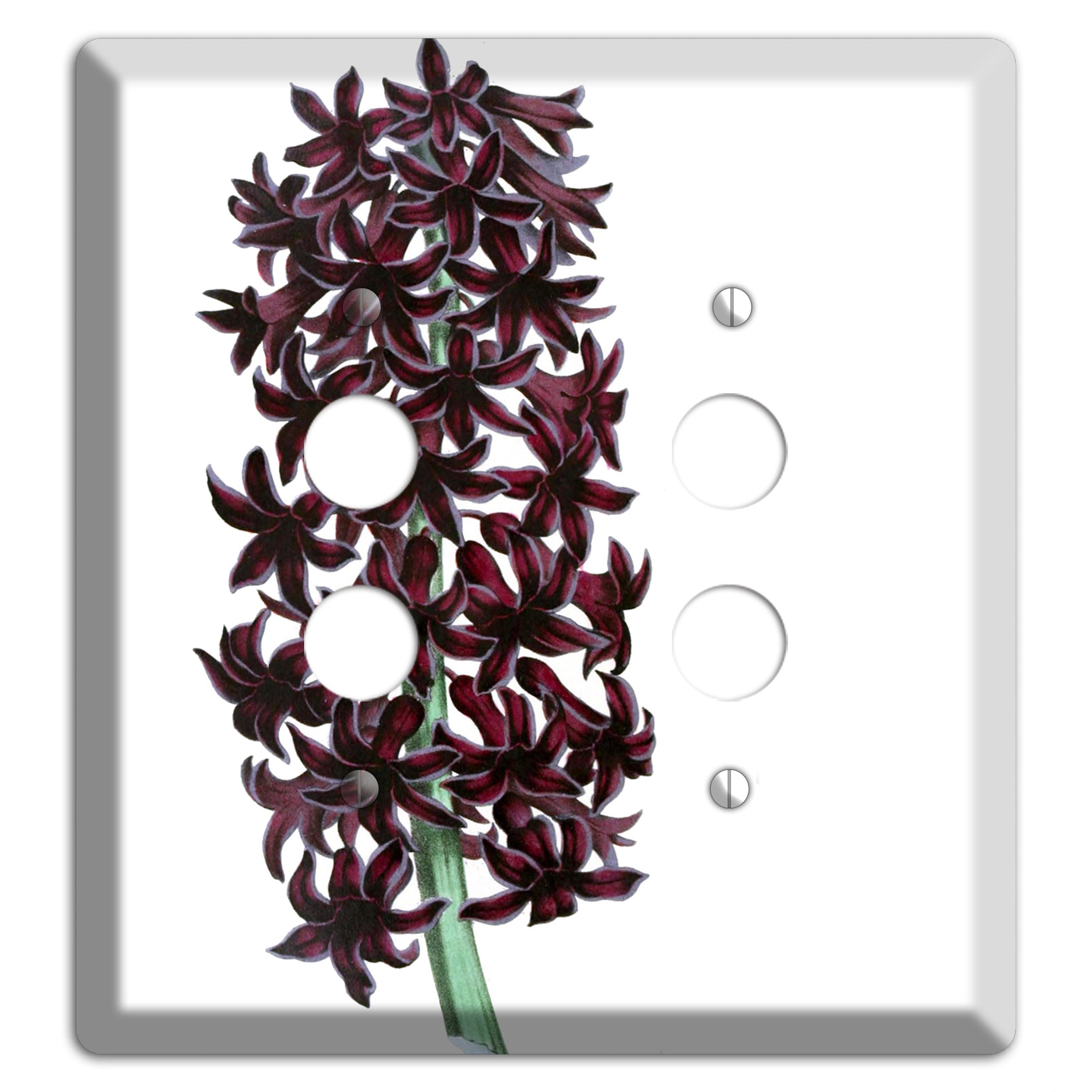 Jacinth 2 Pushbutton Wallplate