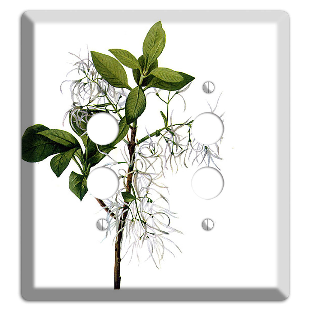 Chionathus Virginiana 2 Pushbutton Wallplate