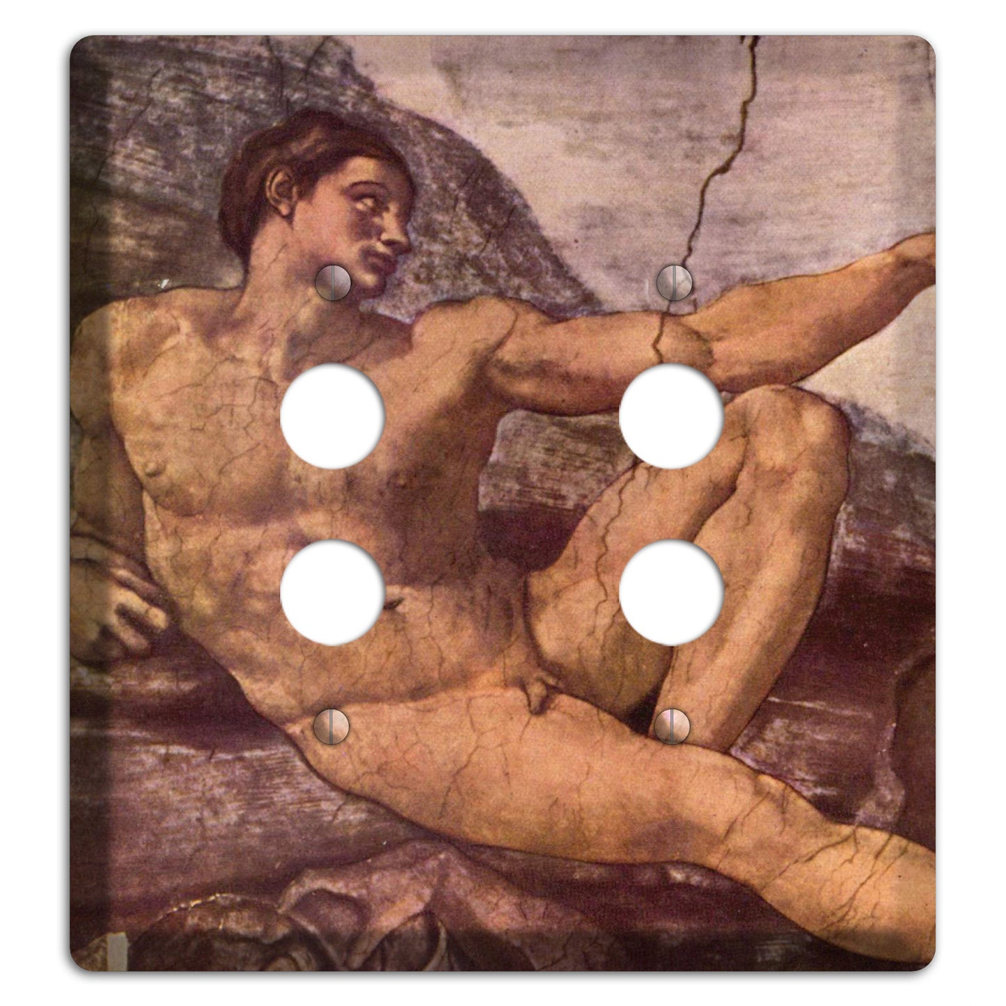 Michelangelo 2 2 Pushbutton Wallplate