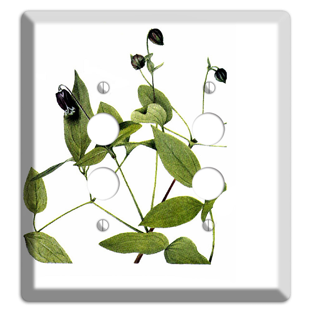 Clematis Viorna 2 Pushbutton Wallplate