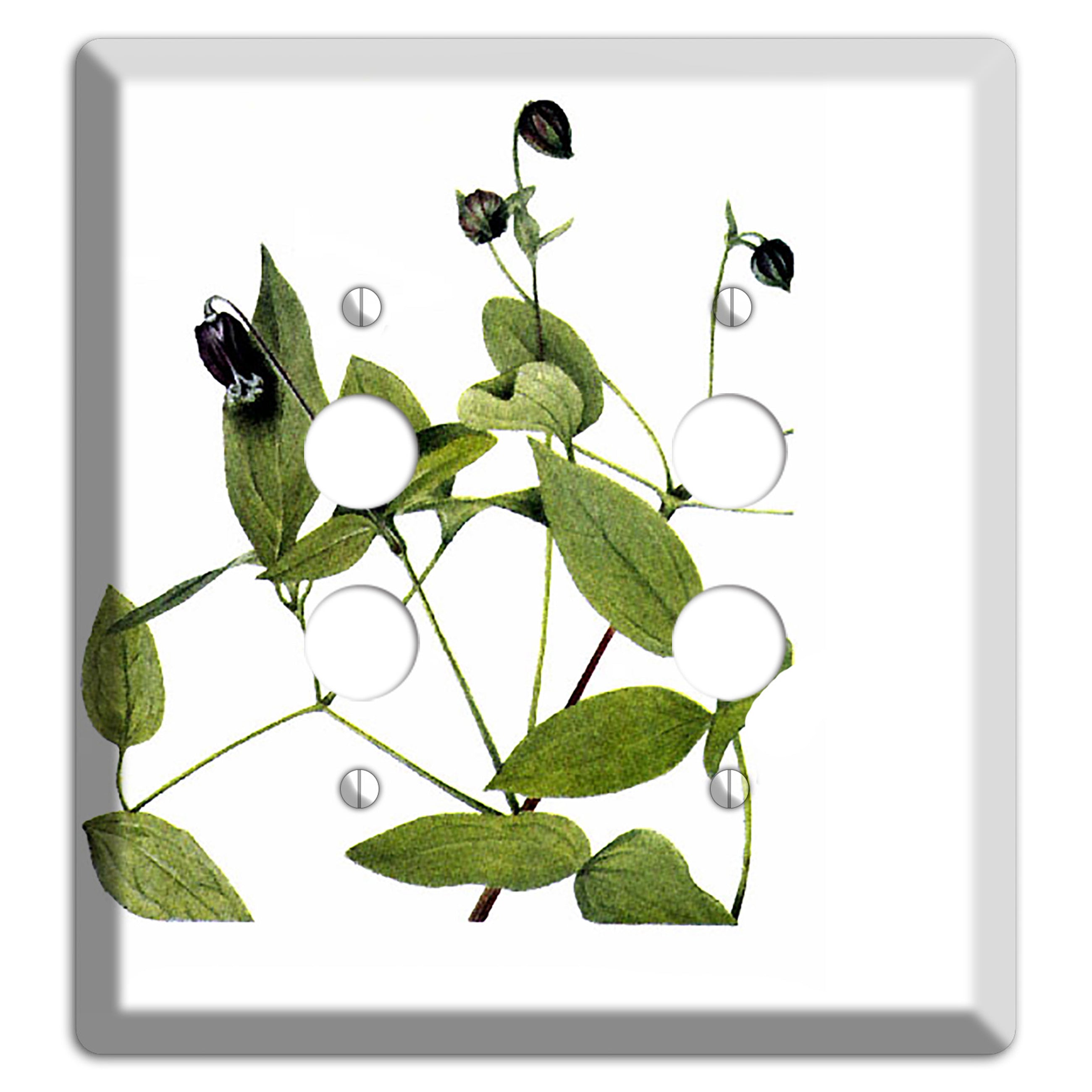 Clematis Viorna 2 Pushbutton Wallplate