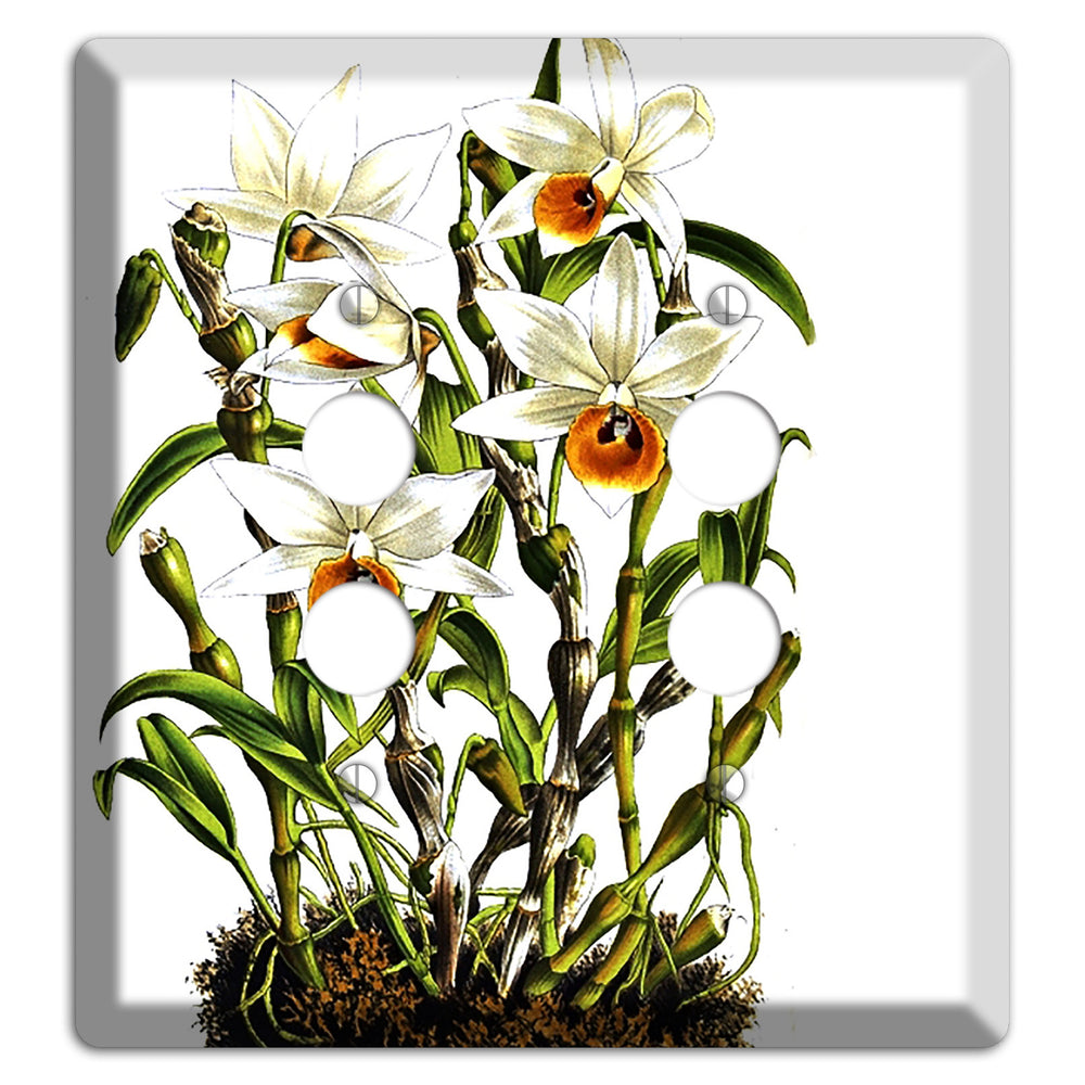 Dendrobium 2 Pushbutton Wallplate