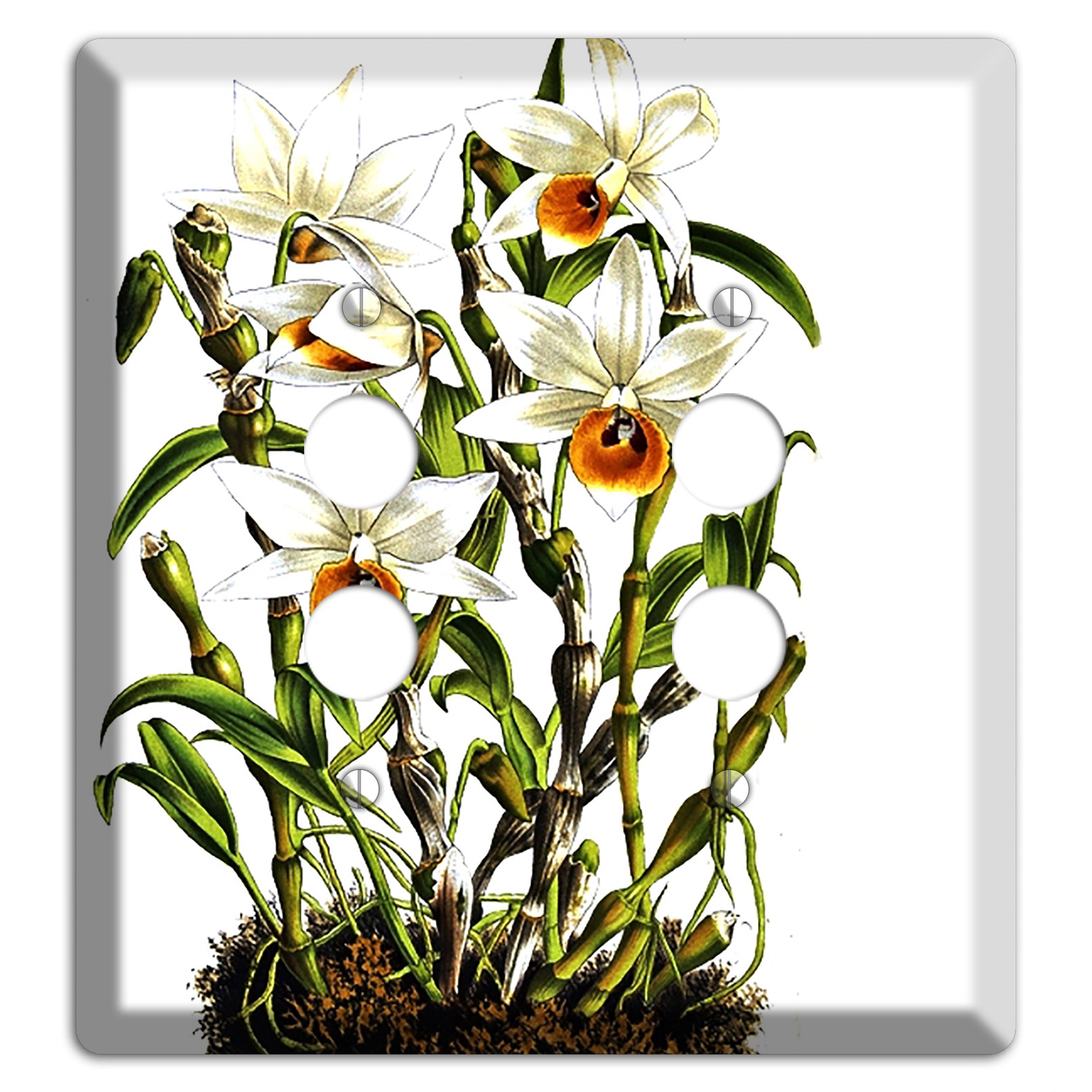 Dendrobium 2 Pushbutton Wallplate