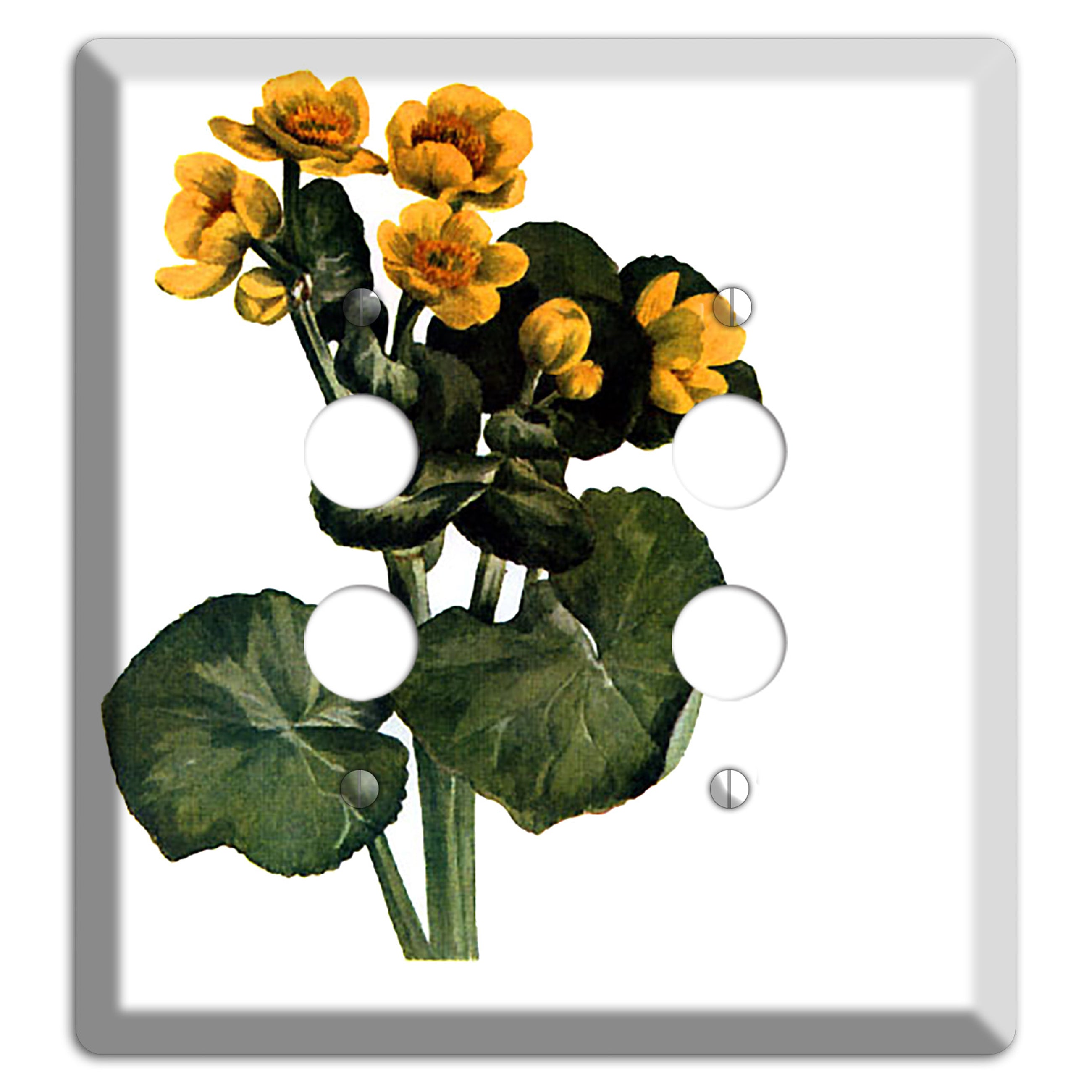 Calla Palustrie 2 2 Pushbutton Wallplate
