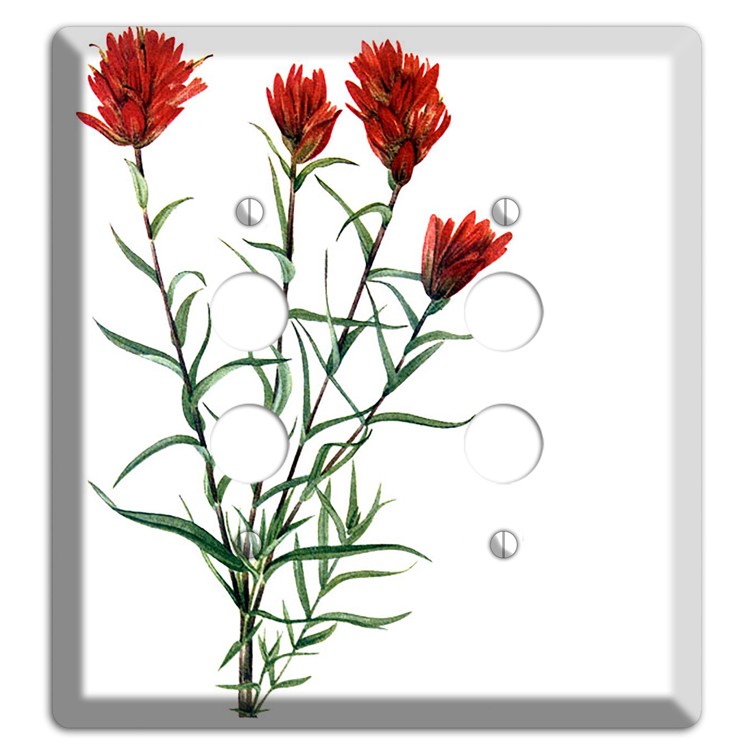 Castilleja Linarifolia 2 Pushbutton Wallplate