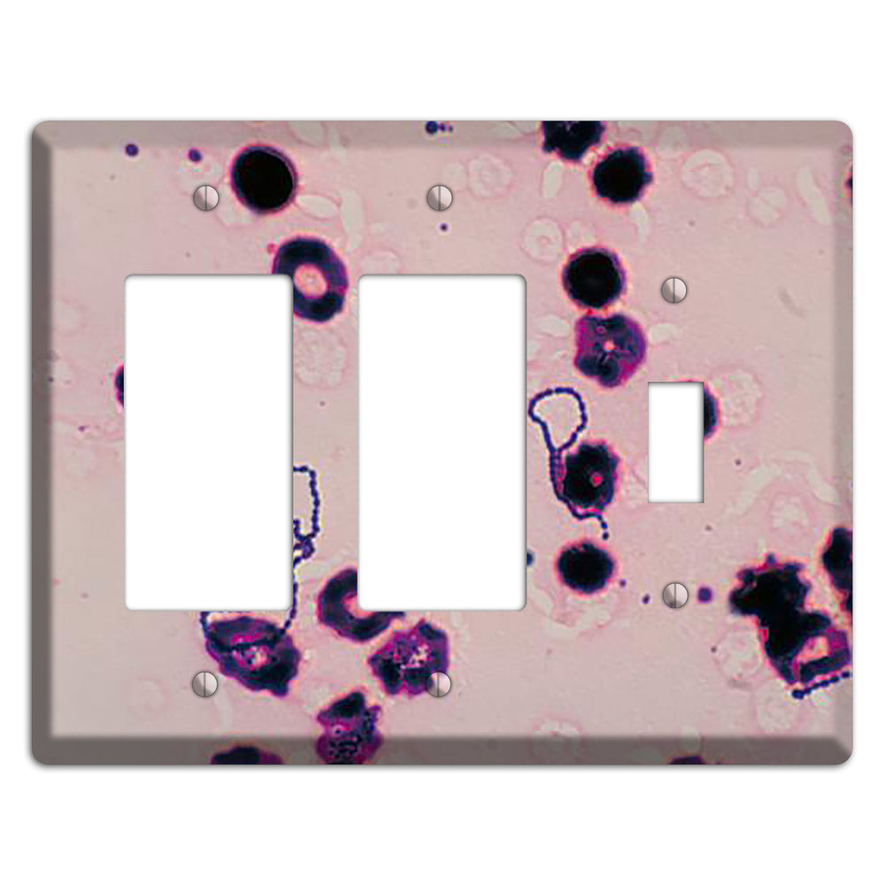 Streptococcus Viridans 2 Rocker / Toggle Wallplate