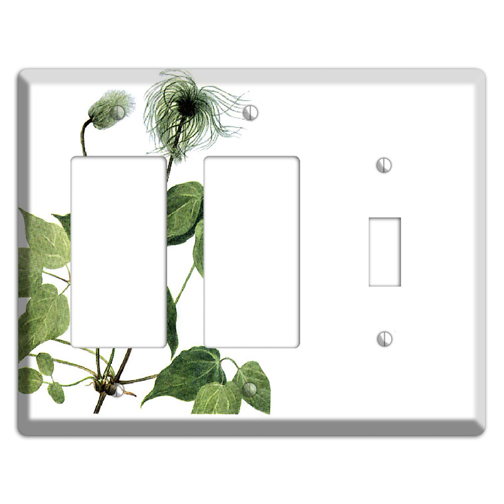 Clamatis Columbiana 2 Rocker / Toggle Wallplate