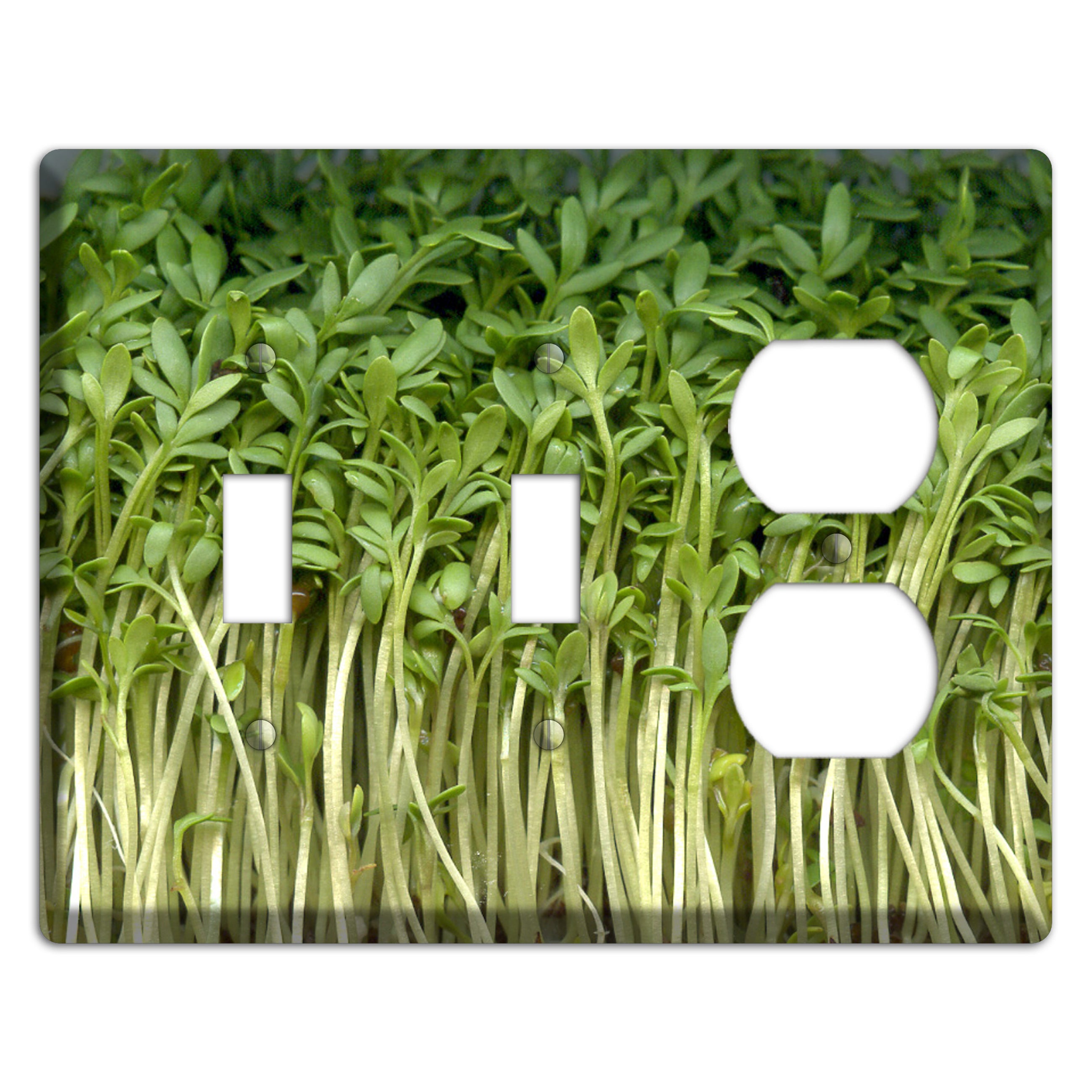 Sprouts 2 Toggle / Duplex Wallplate