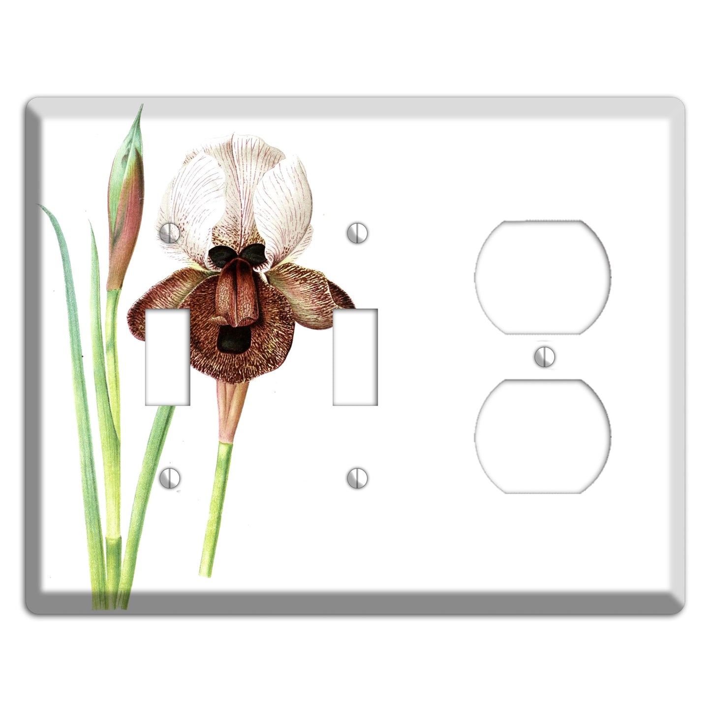 White iris 2 Toggle / Duplex Wallplate
