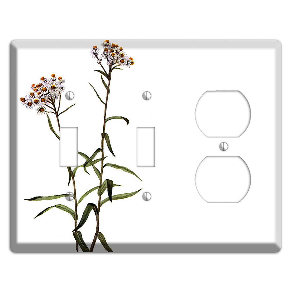 Anaphalis Margoritacea 2 Toggle / Duplex Wallplate