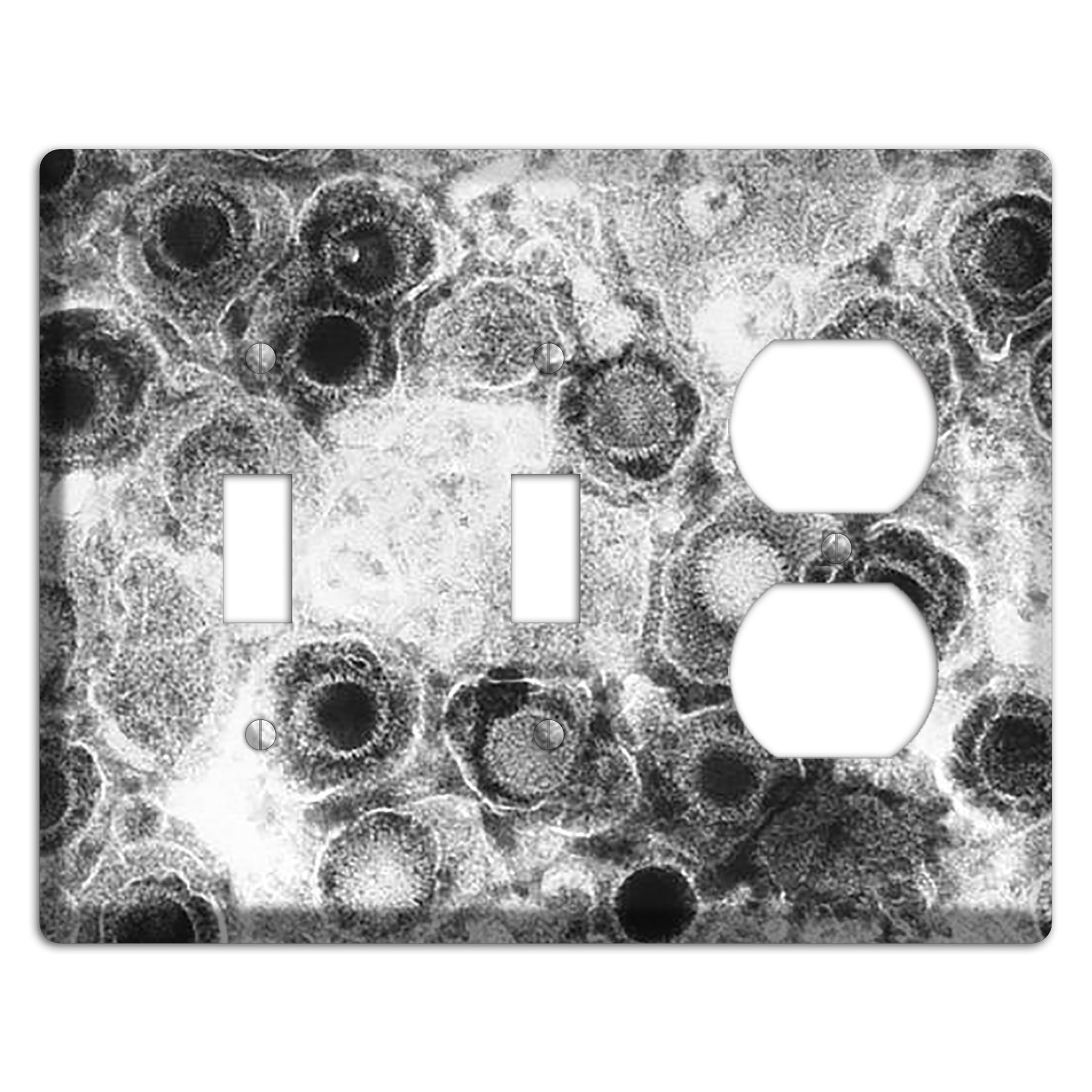 Herpes Simplex 2 Toggle / Duplex Wallplate