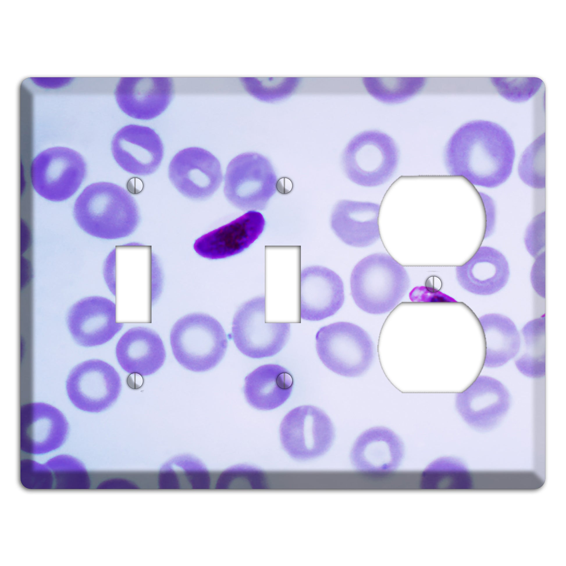 Plasmodium Falciparum 2 Toggle / Duplex Wallplate