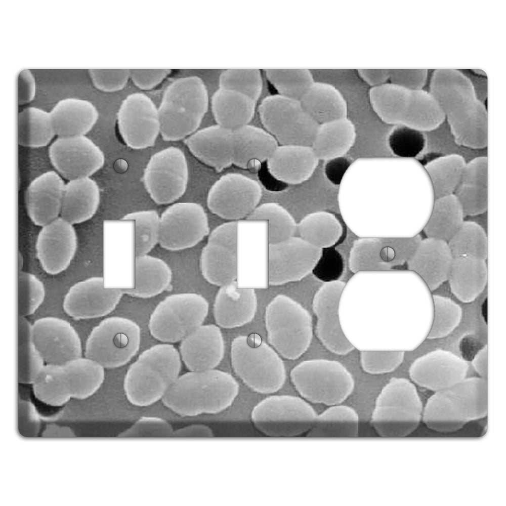 Entercoccus 2 Toggle / Duplex Wallplate
