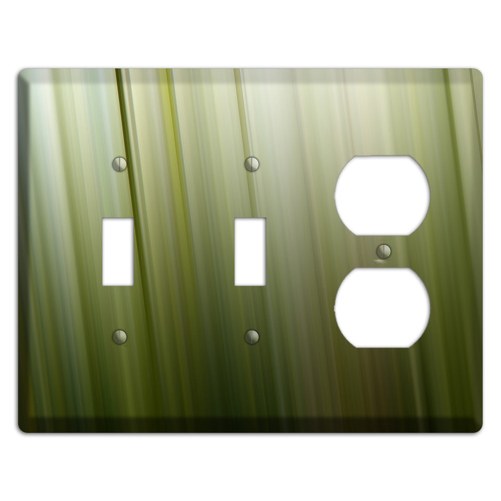 Olive Ray of Light 2 2 Toggle / Duplex Wallplate