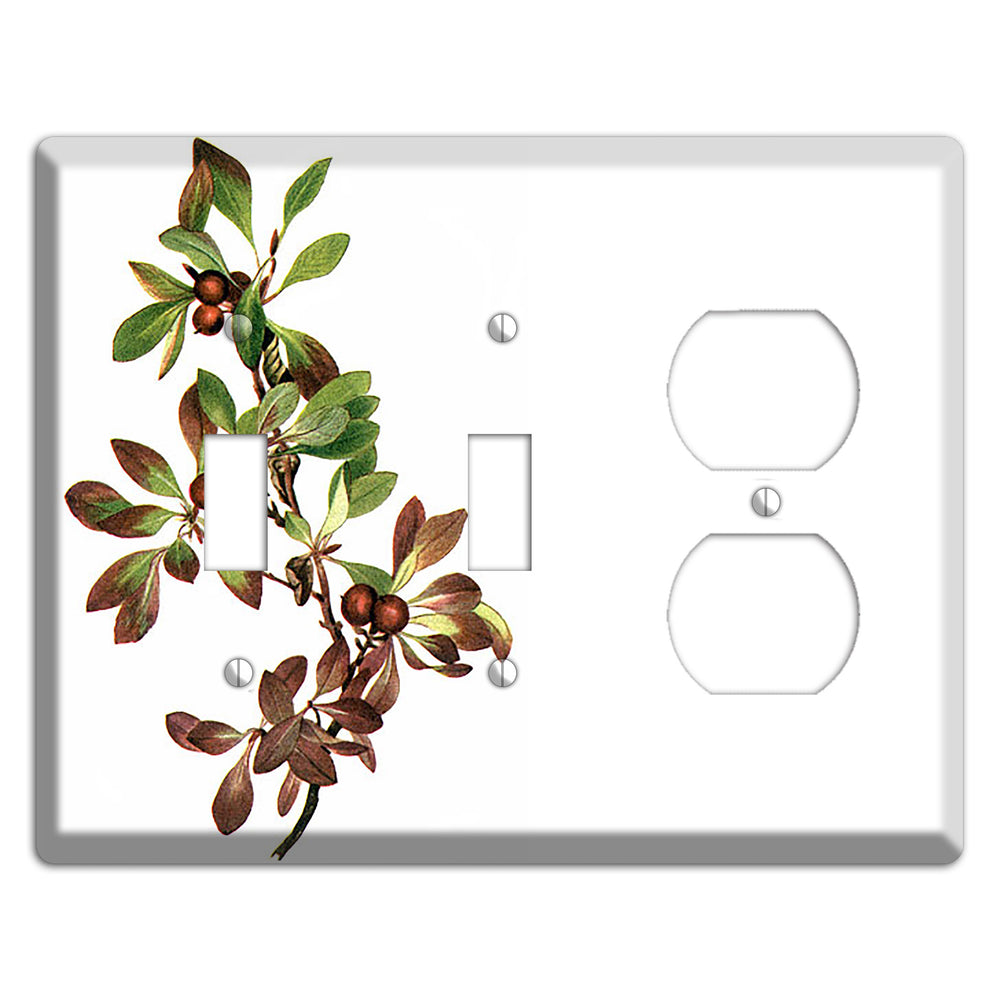 Arietustaphylos Alpha 2 Toggle / Duplex Wallplate