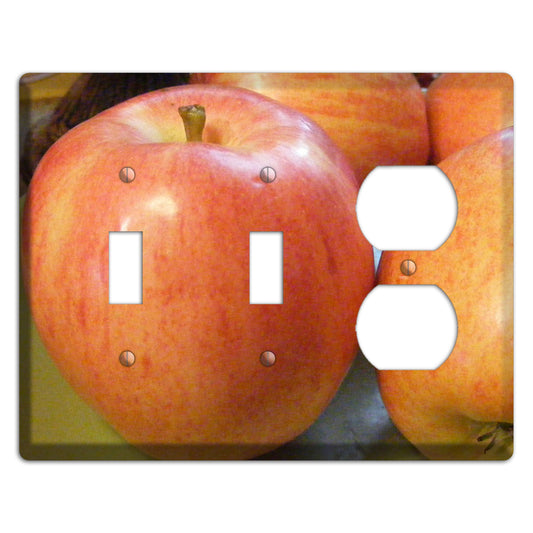 Large Apple 2 Toggle / Duplex Wallplate