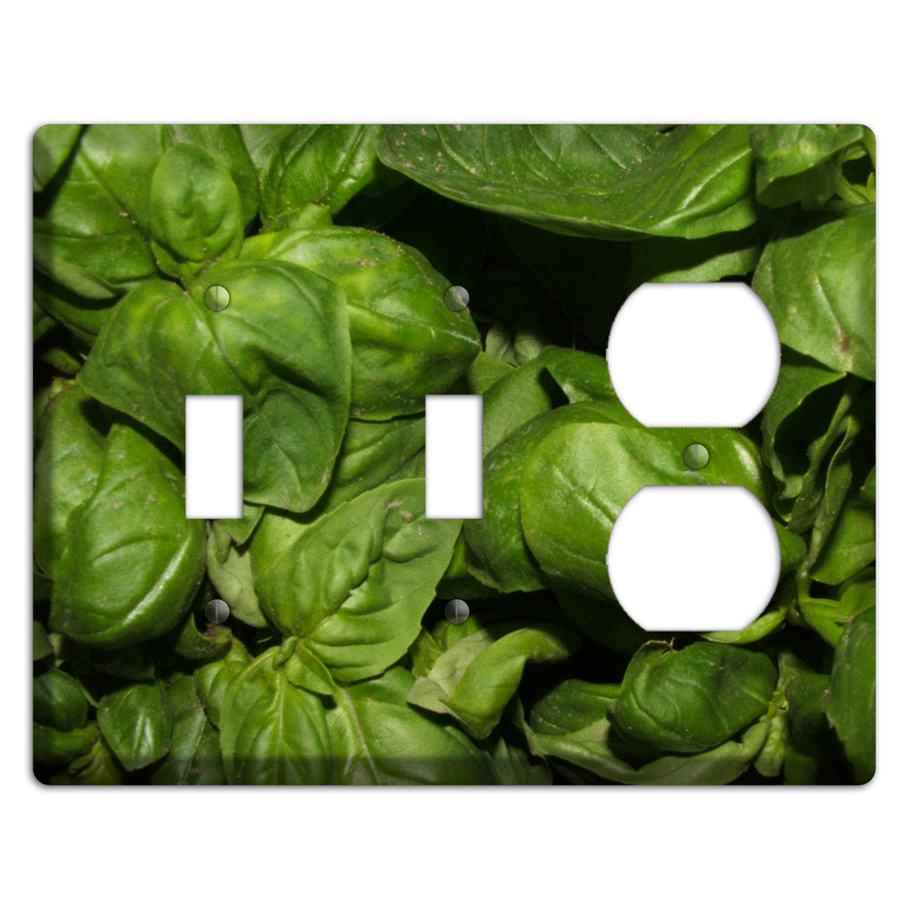 Basil 2 Toggle / Duplex Wallplate
