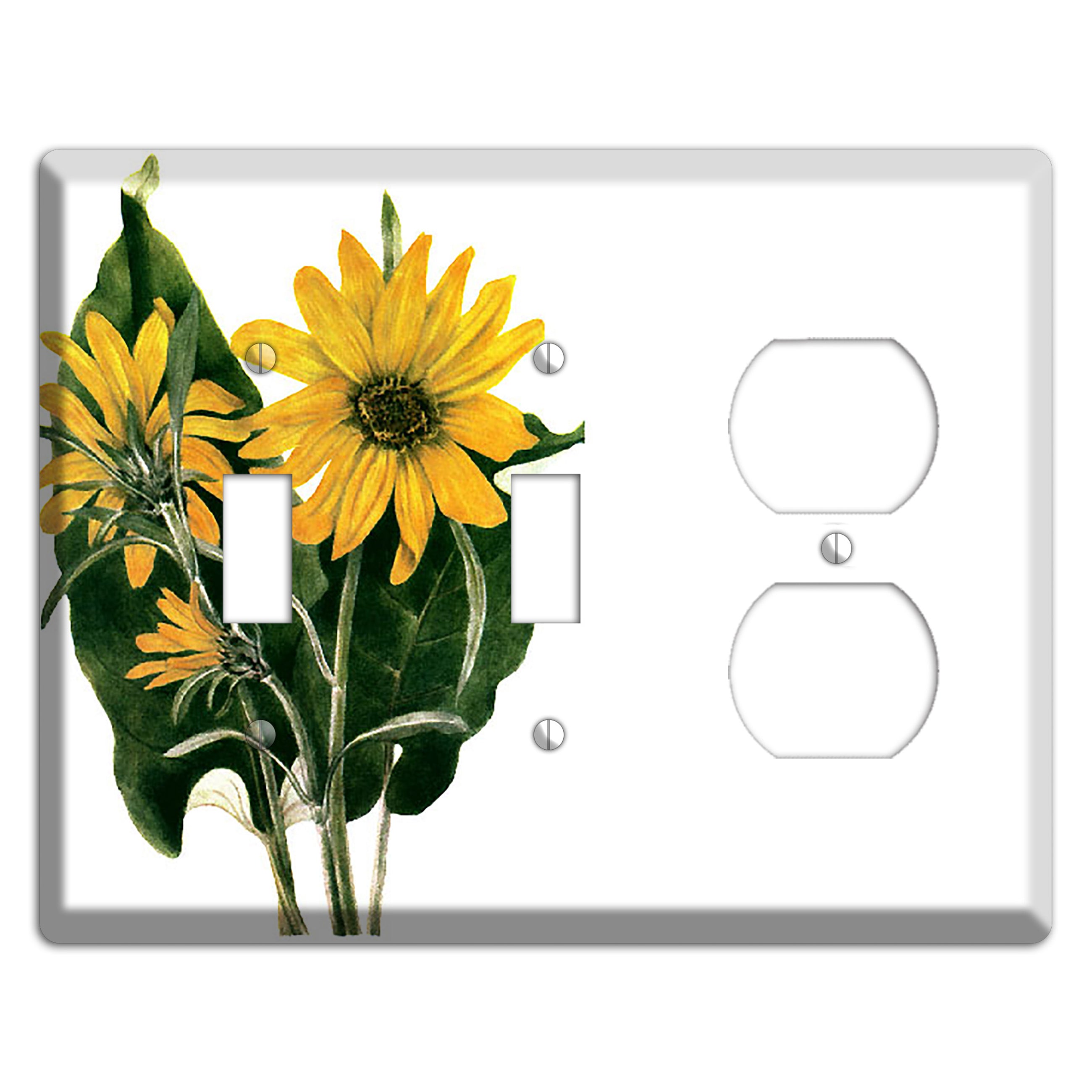 Balsamorhiza Sagittata 2 Toggle / Duplex Wallplate
