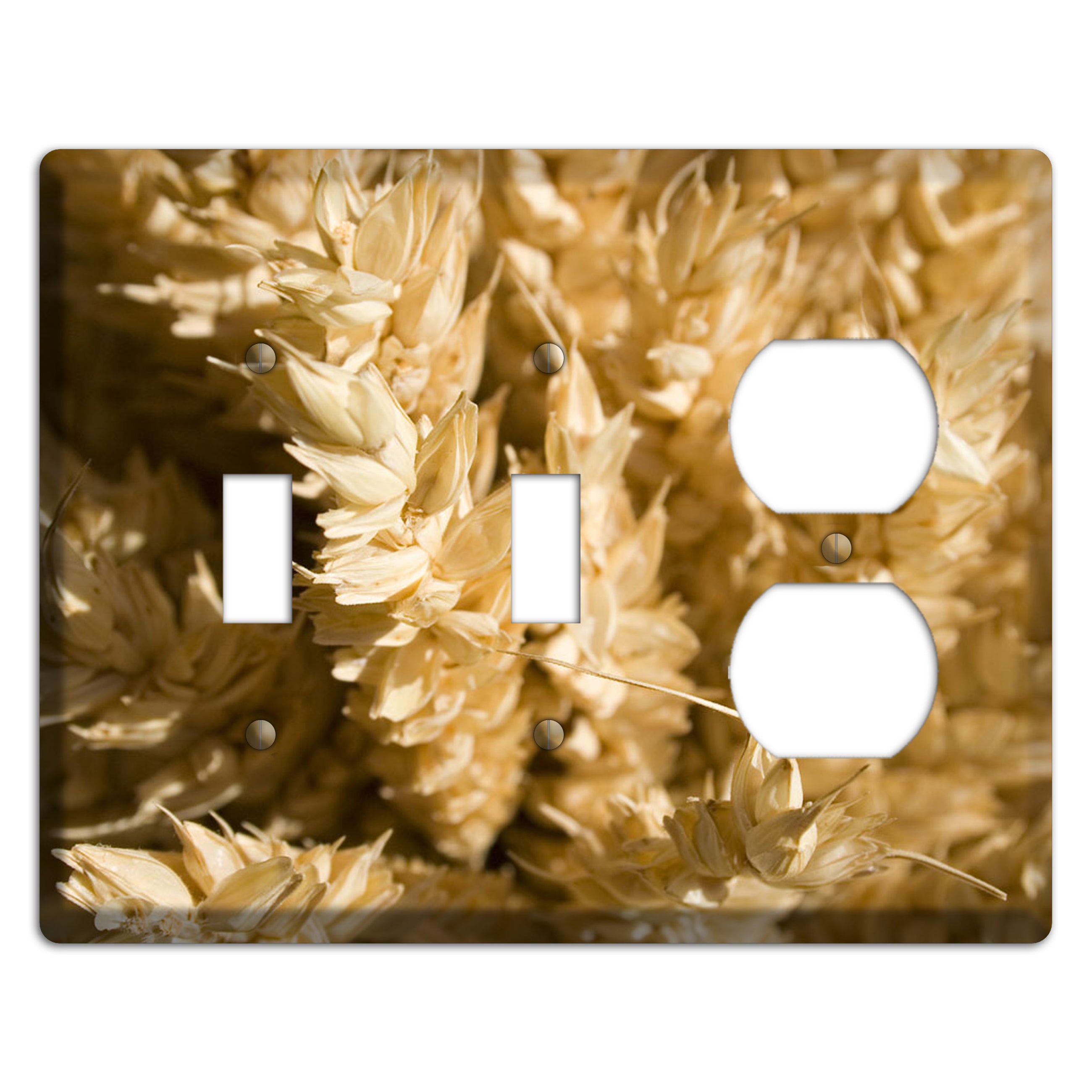 Wheat 2 Toggle / Duplex Wallplate