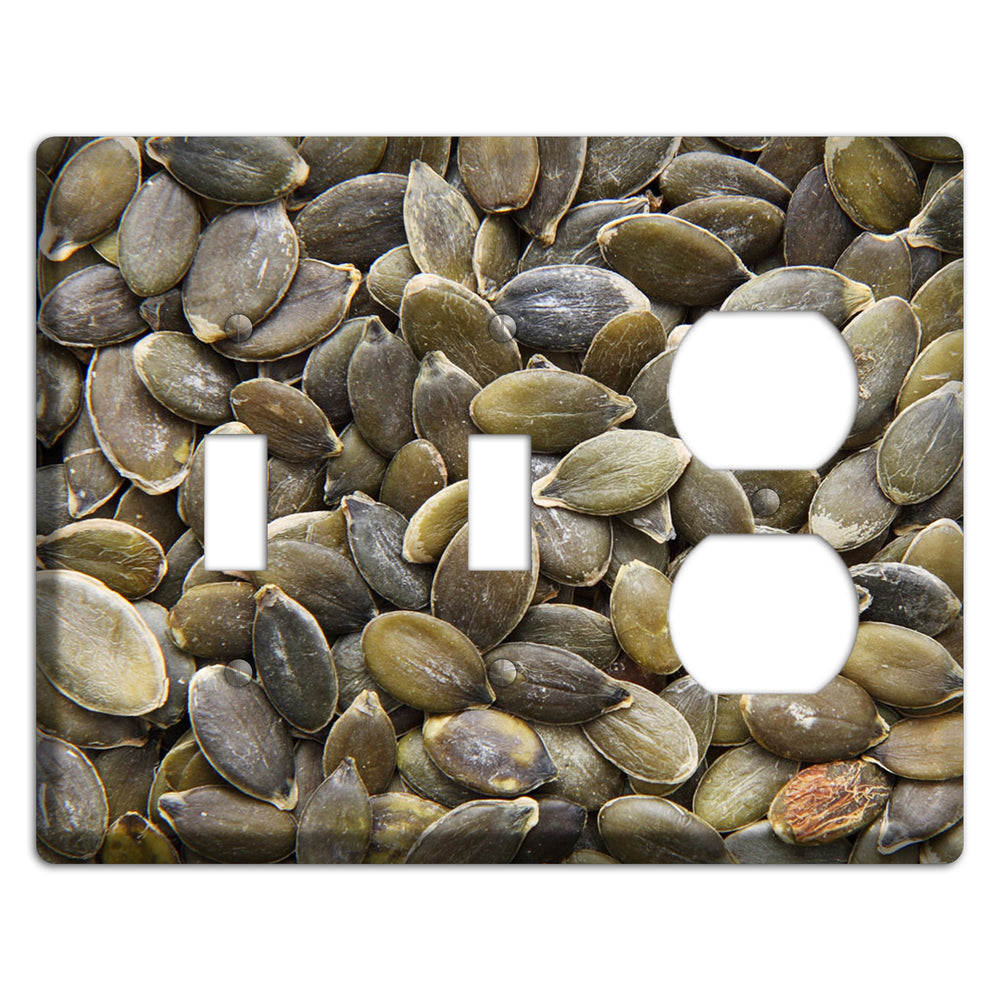 Sunflowers Seeds 2 Toggle / Duplex Wallplate