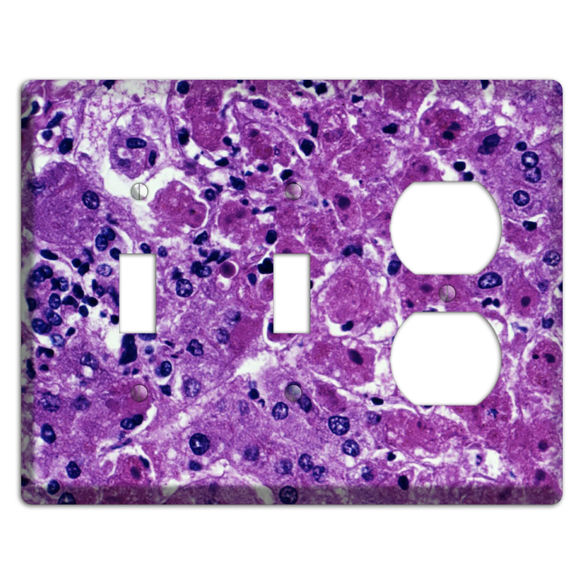 Marburg 2 Toggle / Duplex Wallplate