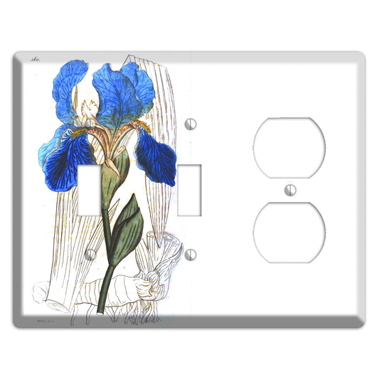 Blue Iris 2 Toggle / Duplex Wallplate