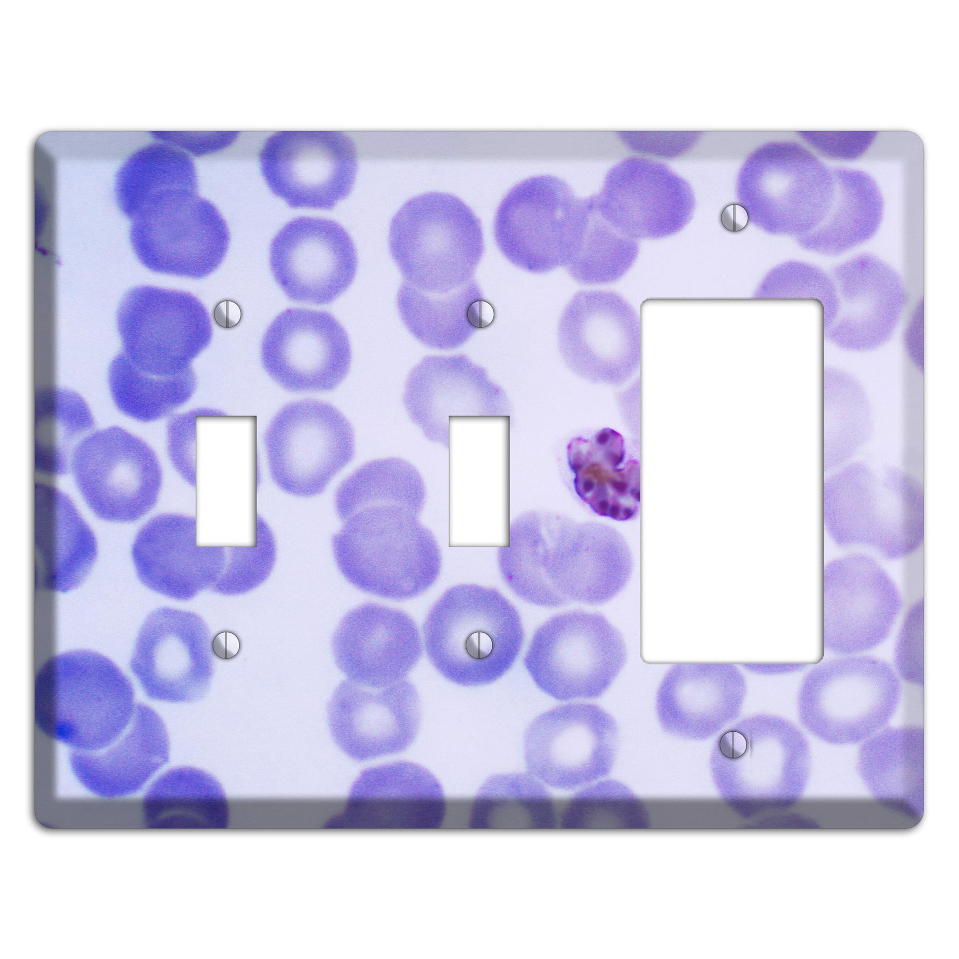 Plasmodium Malariae Schizont 2 Toggle / Rocker Wallplate