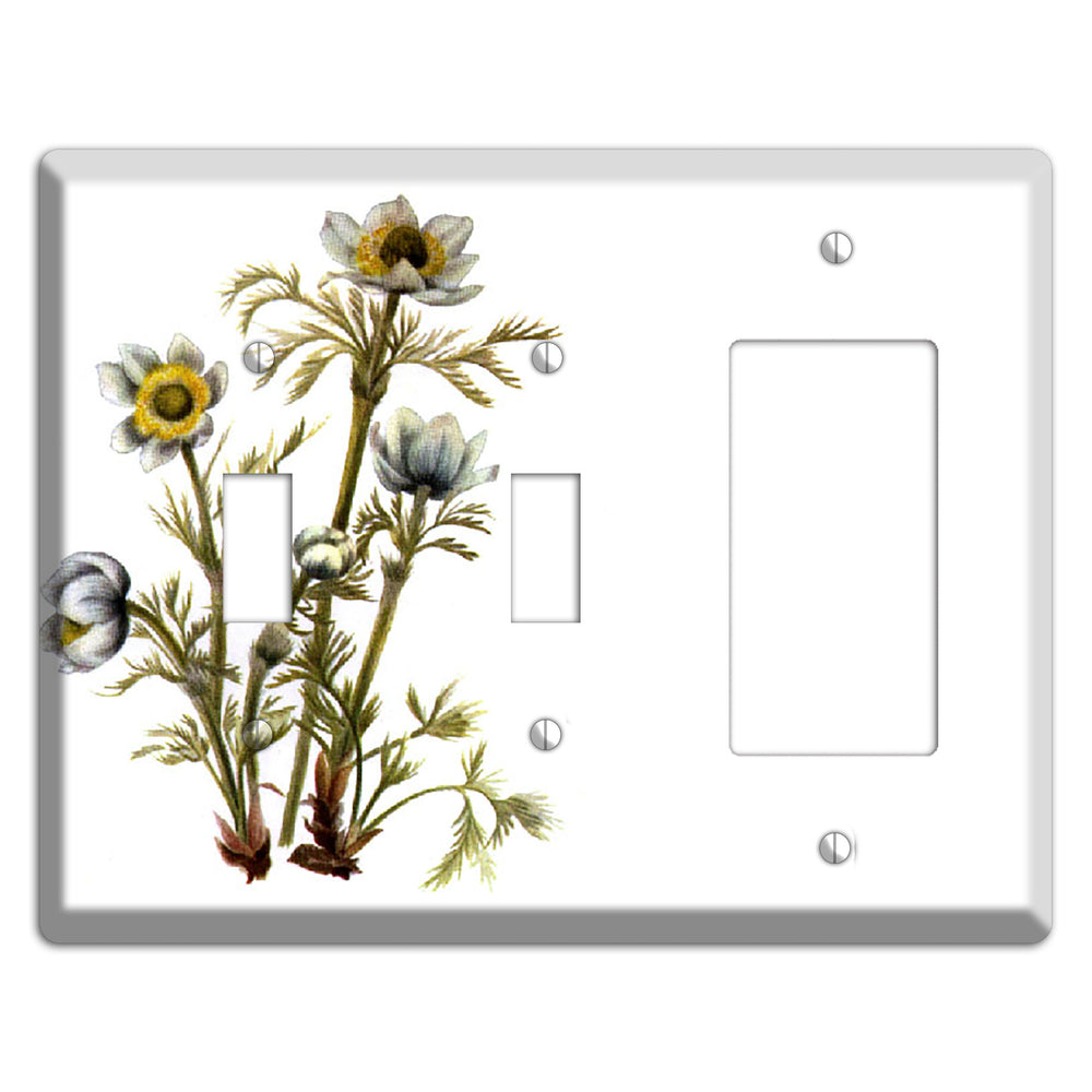 Aenmone Occitentalis 2 Toggle / Rocker Wallplate