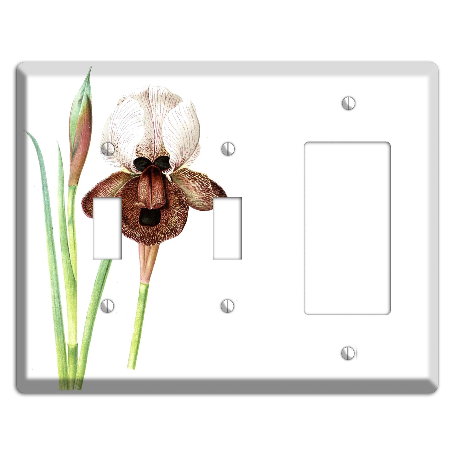 White iris 2 Toggle / Rocker Wallplate