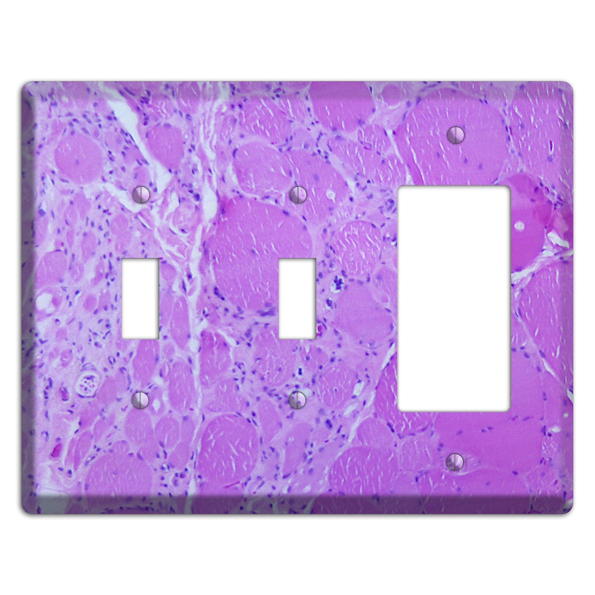 Poliovirus Myotonic Dystrophic 2 Toggle / Rocker Wallplate