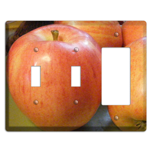 Large Apple 2 Toggle / Rocker Wallplate