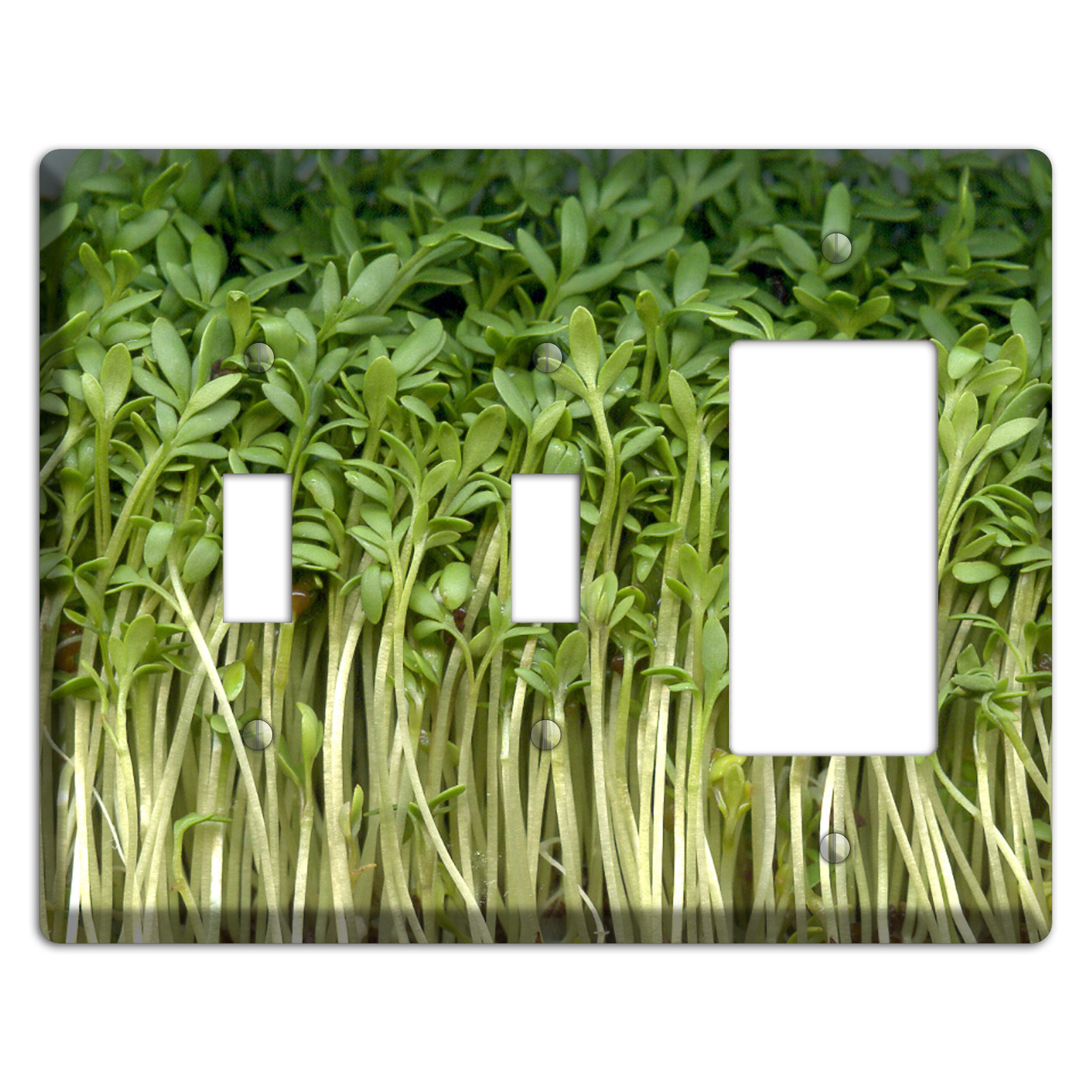 Sprouts 2 Toggle / Rocker Wallplate