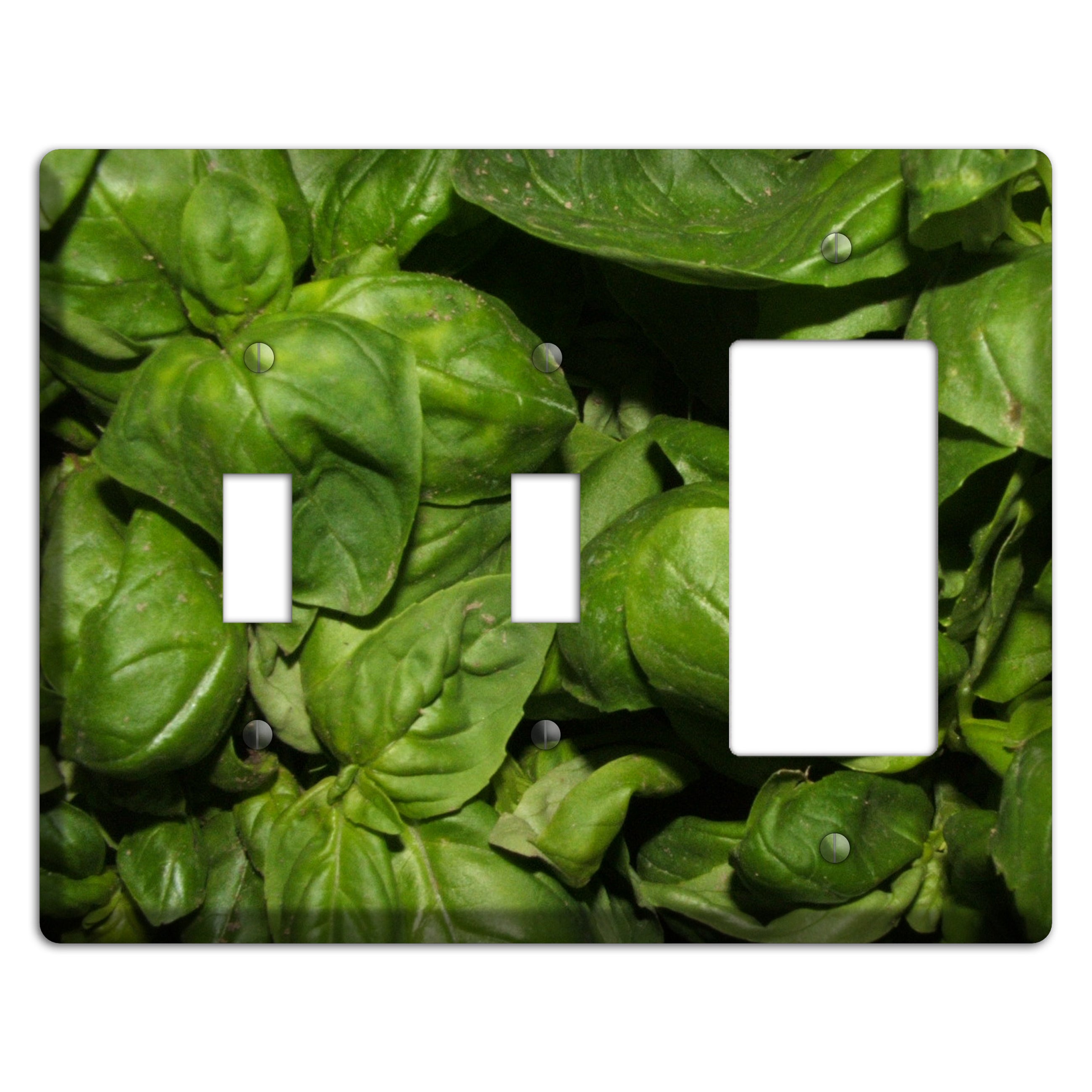 Basil 2 Toggle / Rocker Wallplate